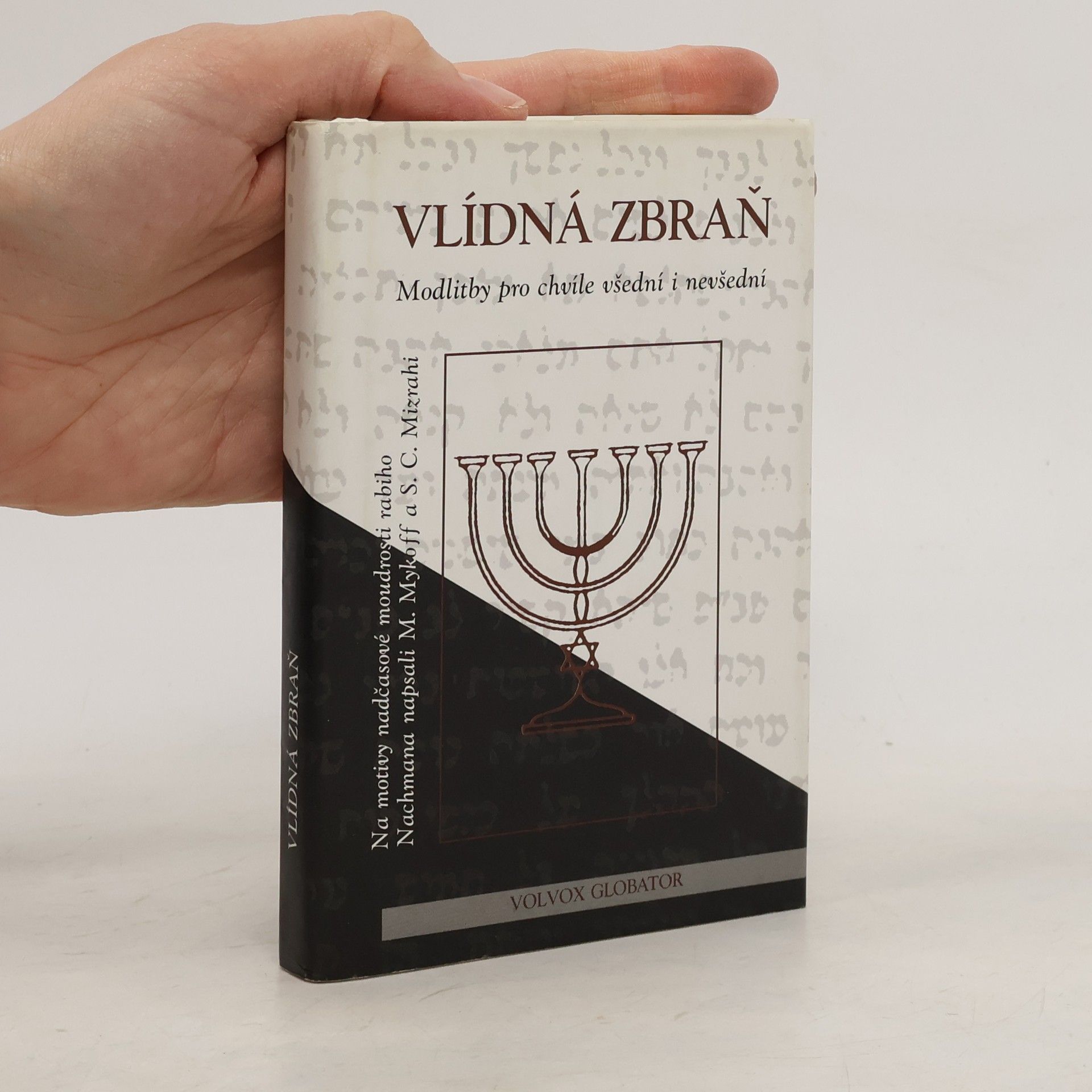 Moše Mykoff Vlídná zbraň