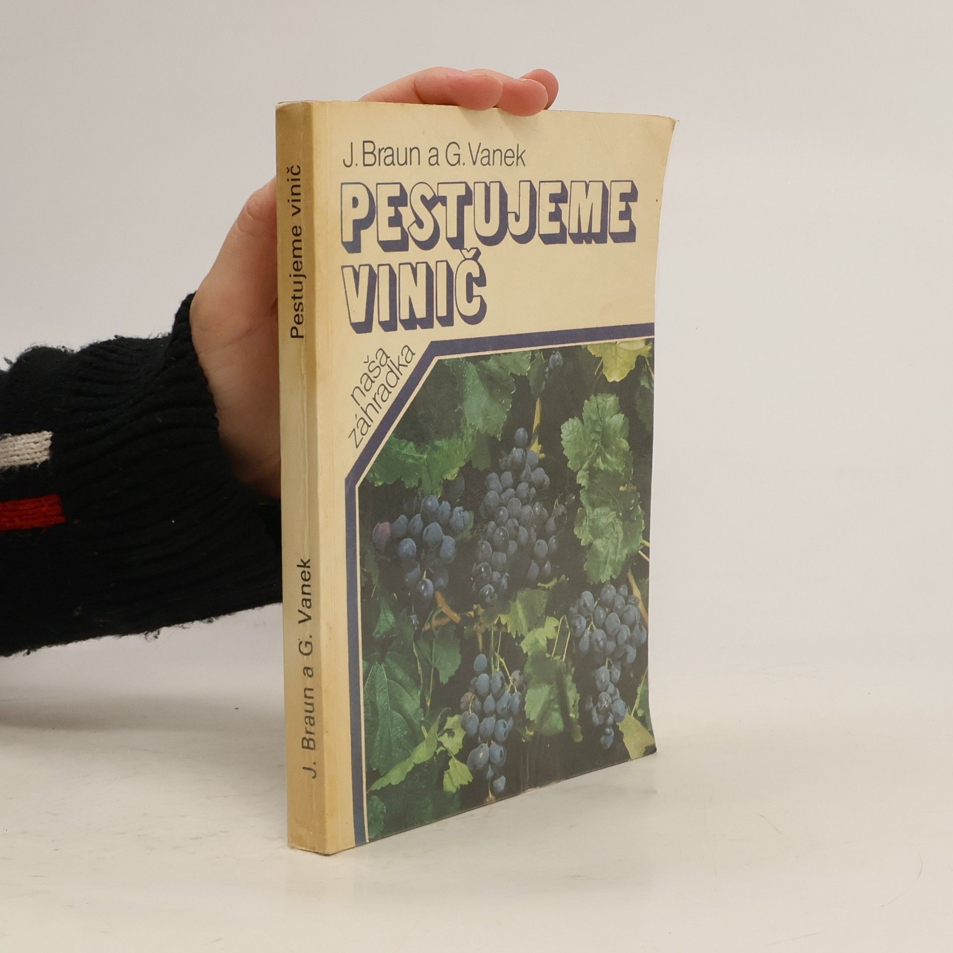 Ján Braun Pestujeme vinič