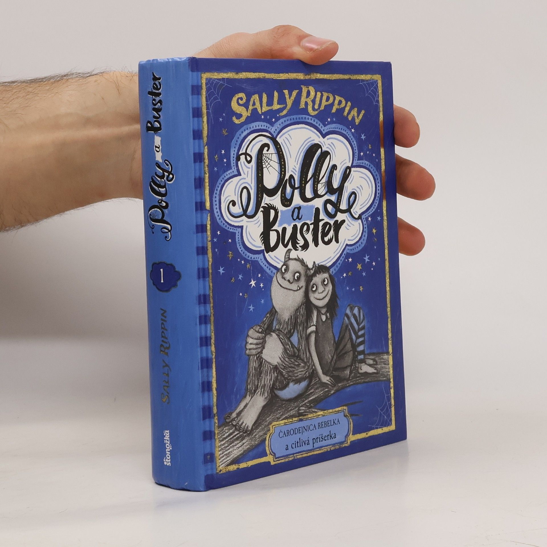 Sally Rippin Čarodejnica rebelka a citlivá príšerka