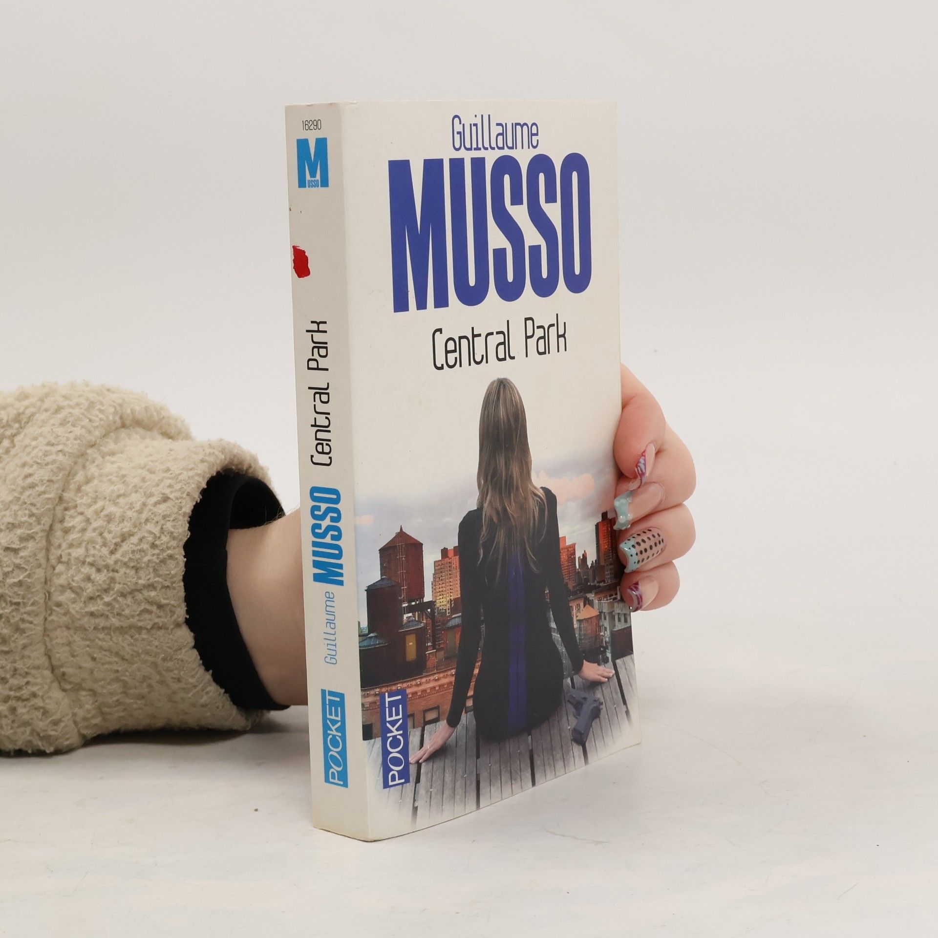 Guillaume Musso Central Park