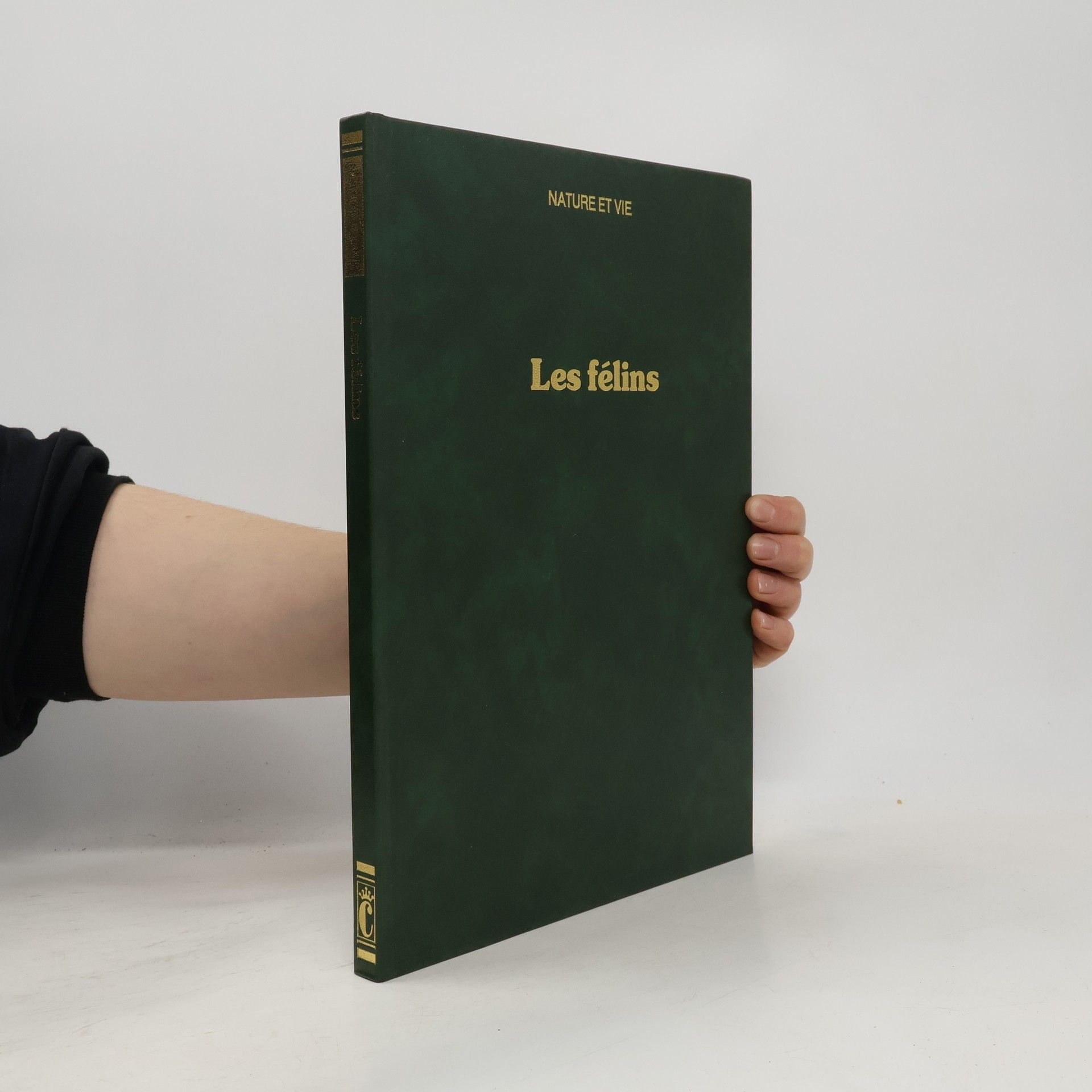 Guido Badino Les félins