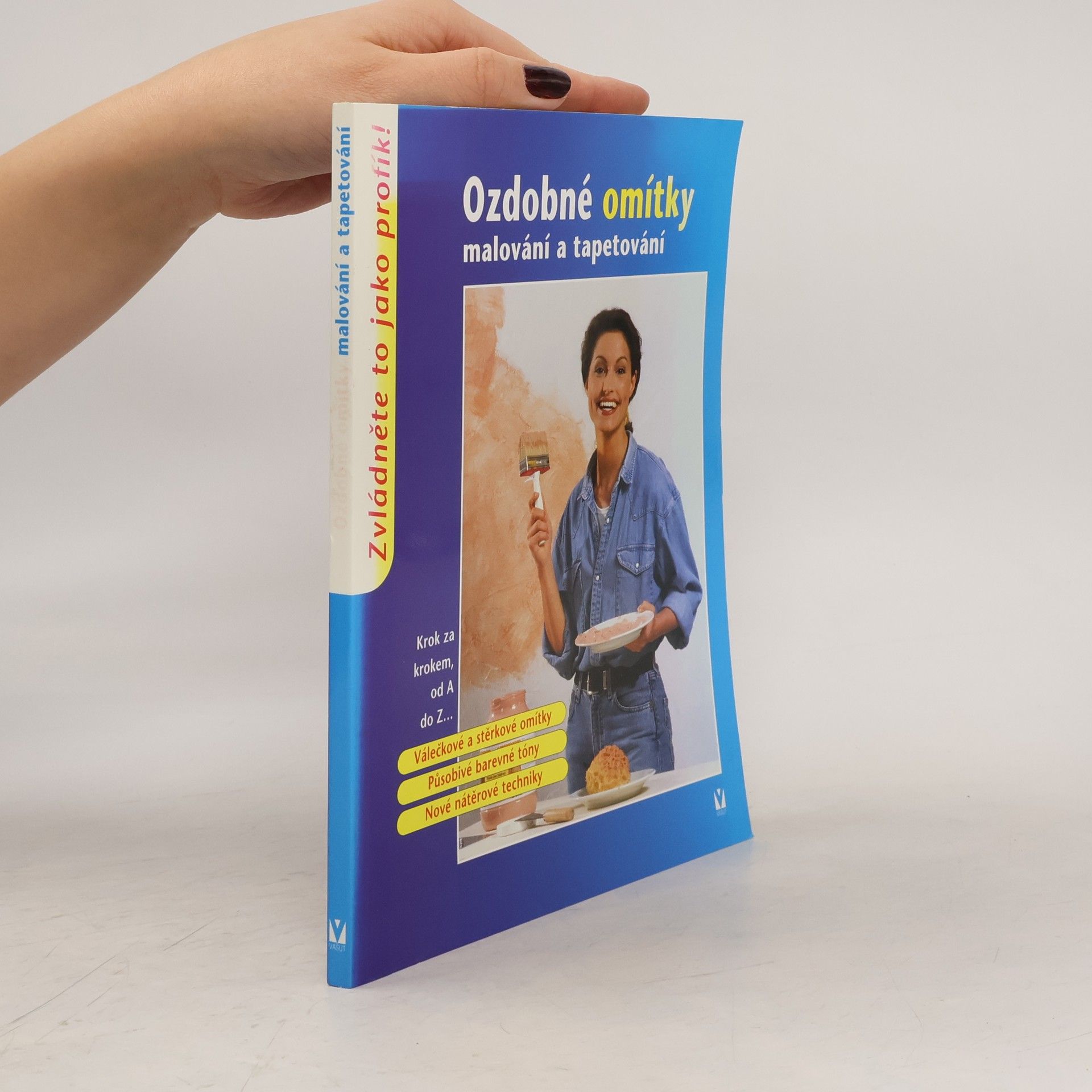 Autorenkollektiv Ozdobné omítky: Malování a tapetování Malování a tapetování