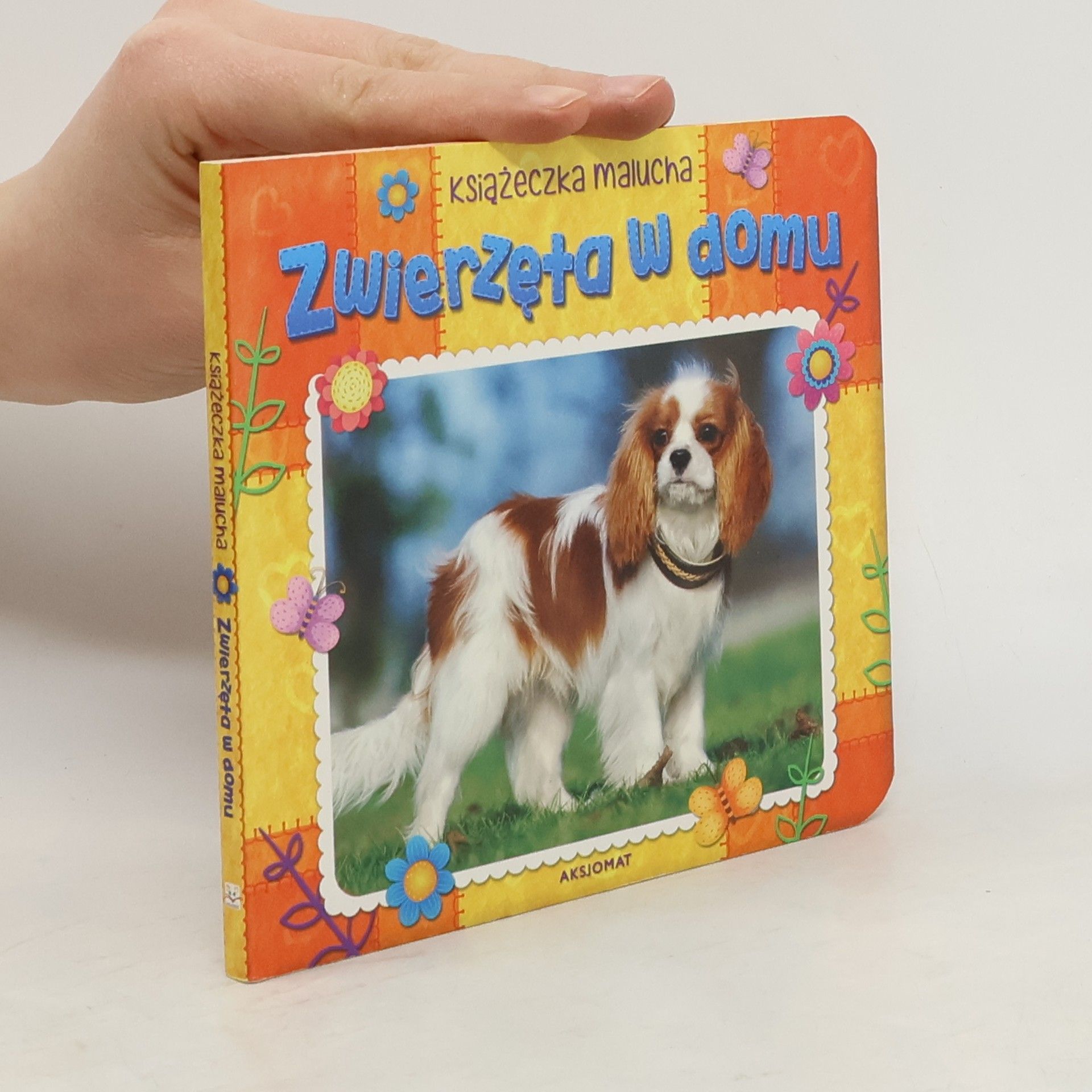 Autorenkollektiv Zwierzęta w domu. Książeczka malucha