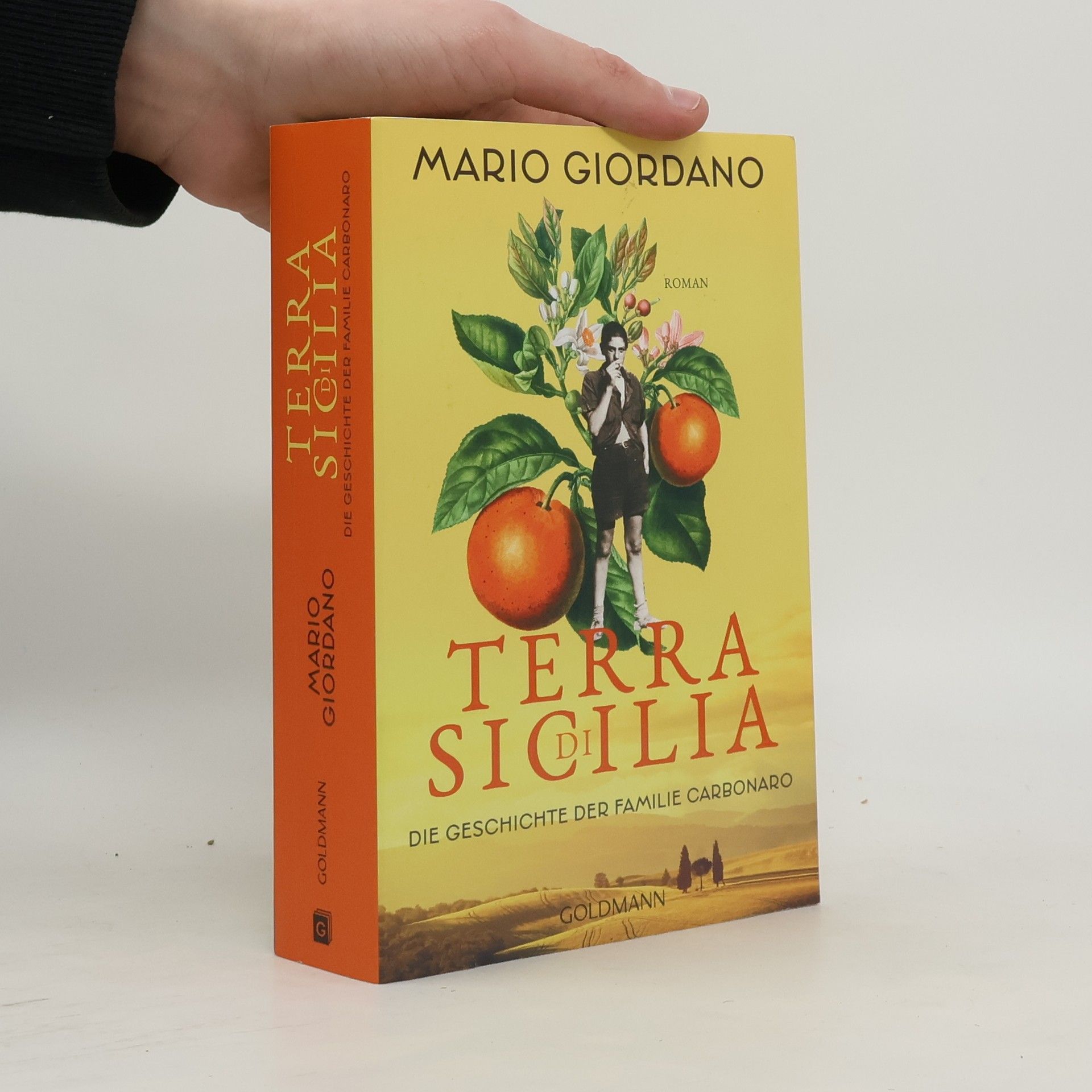 Mario Giordano Terra di Sicilia. Die Geschichte der Familie Carbonaro