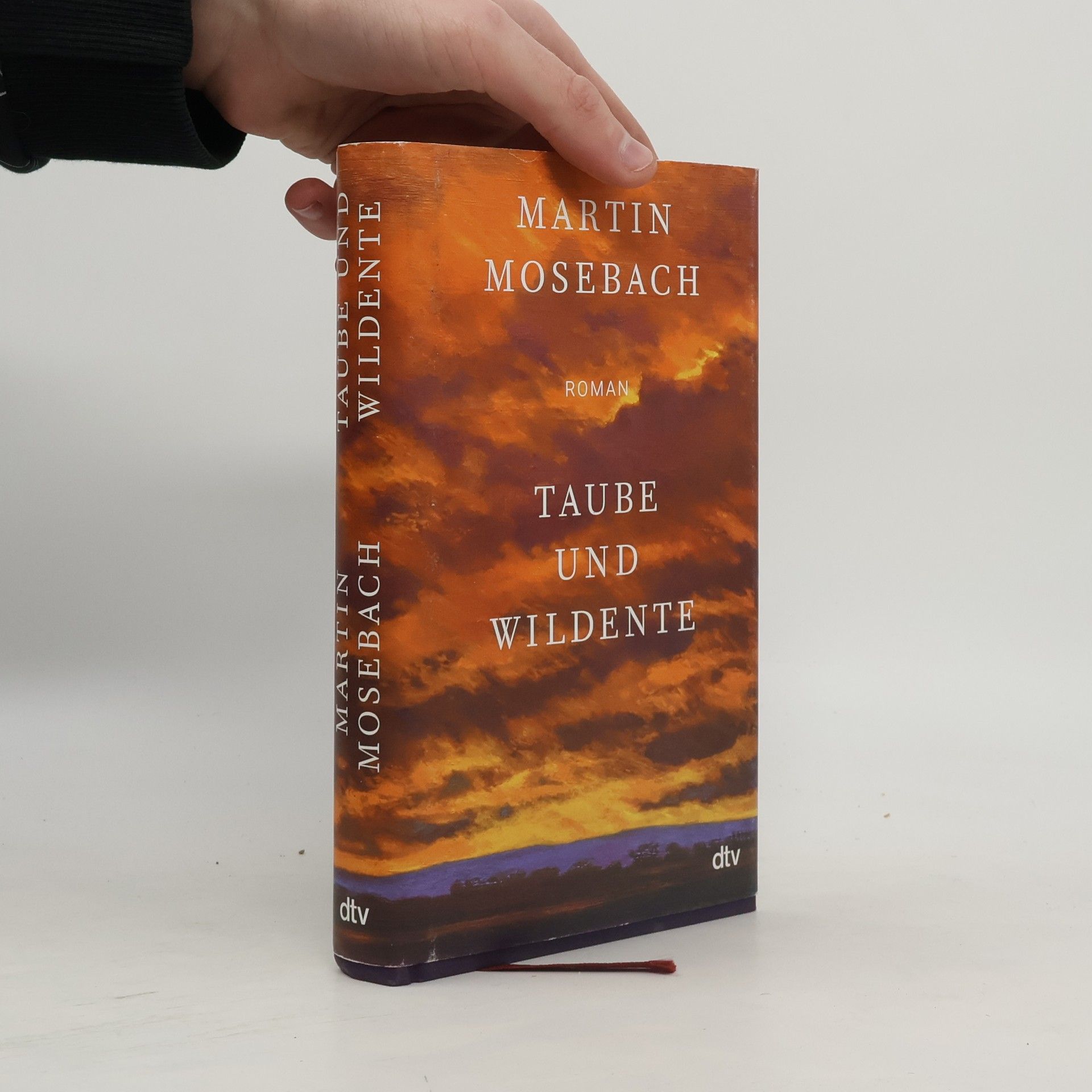 Martin Mosebach Taube und Wildente