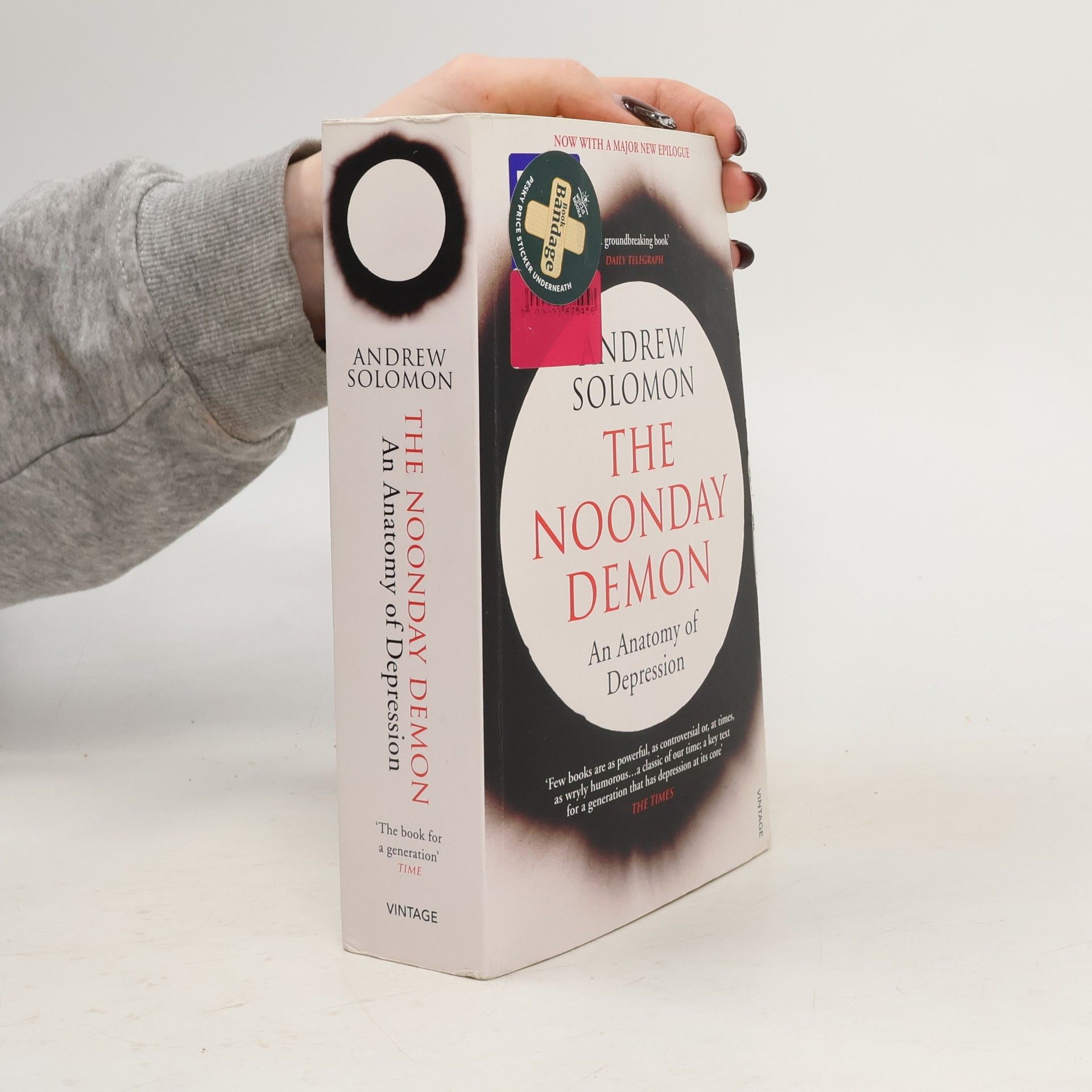 Andrew Solomon The Noonday Demon