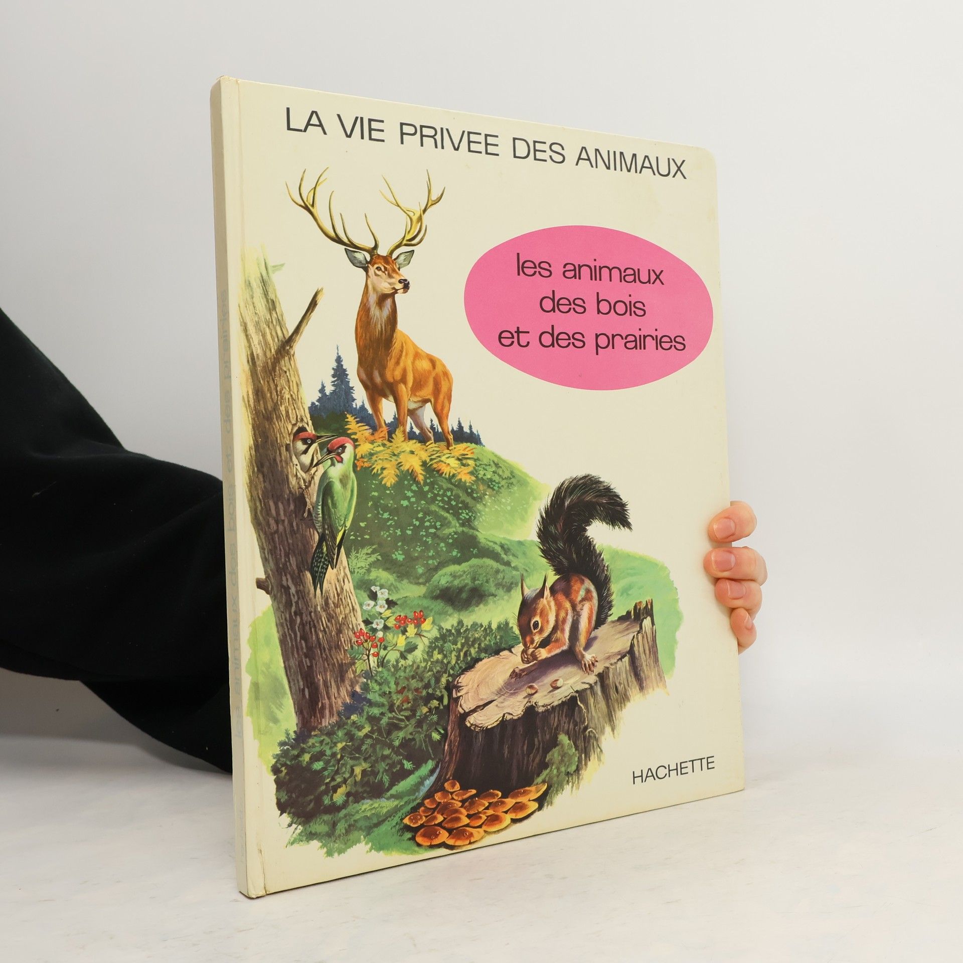 AA.VV. Les animaux des bois et des prairies
