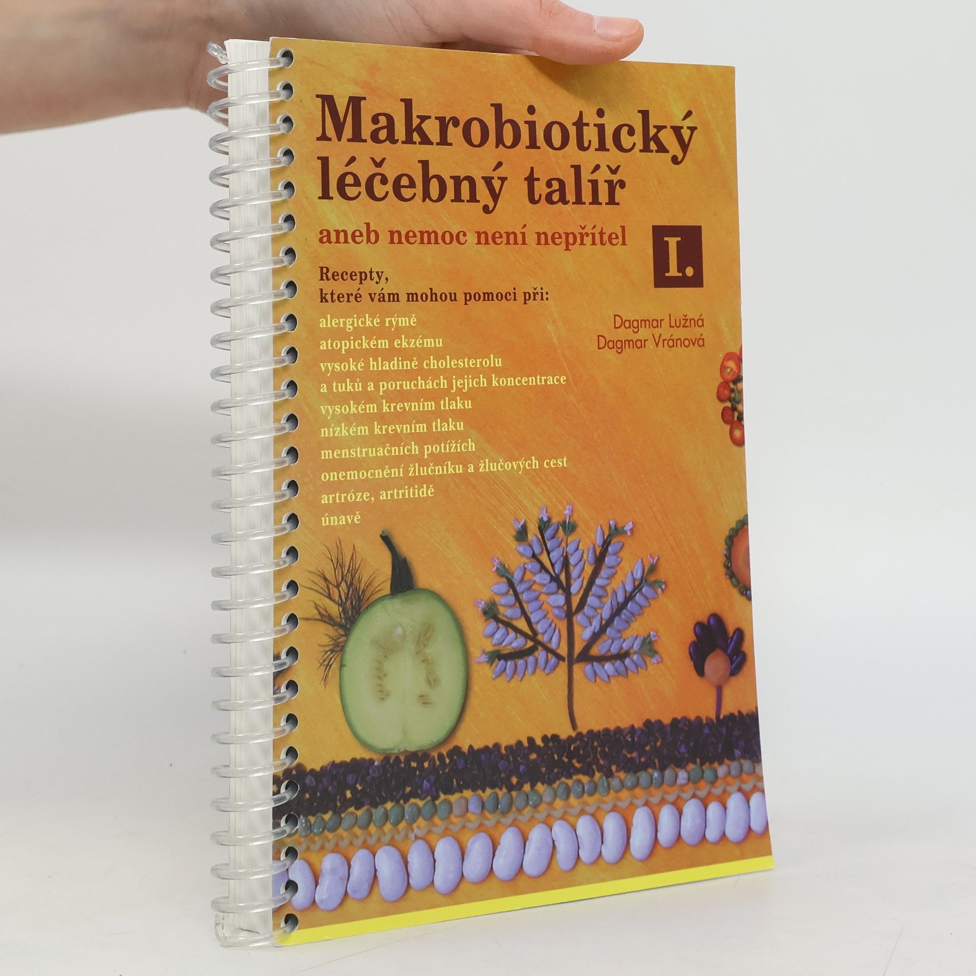 Makrobiotický léčebný talíř. Nemoc není nepřítel I.