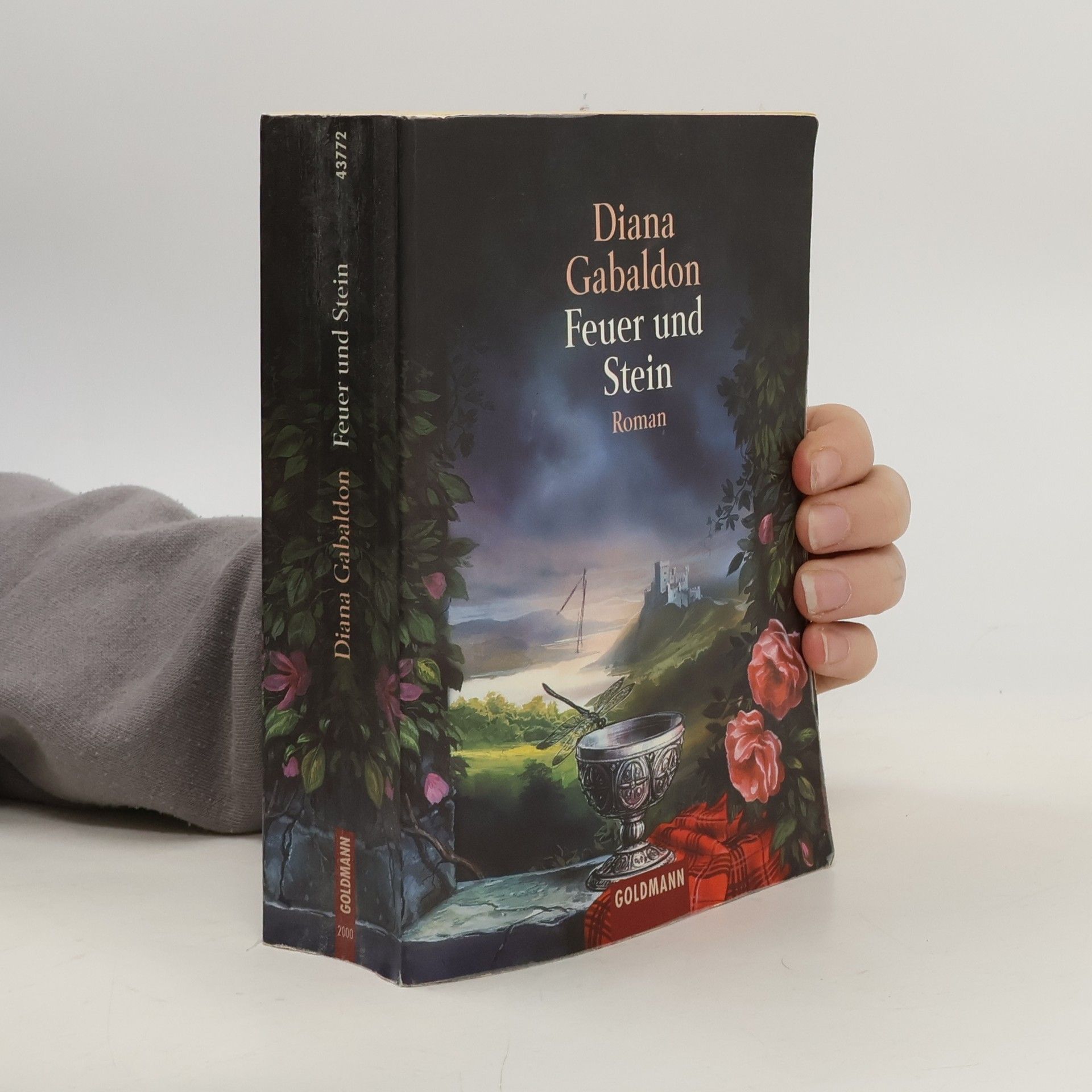 Diana Gabaldon Feuer und Stein