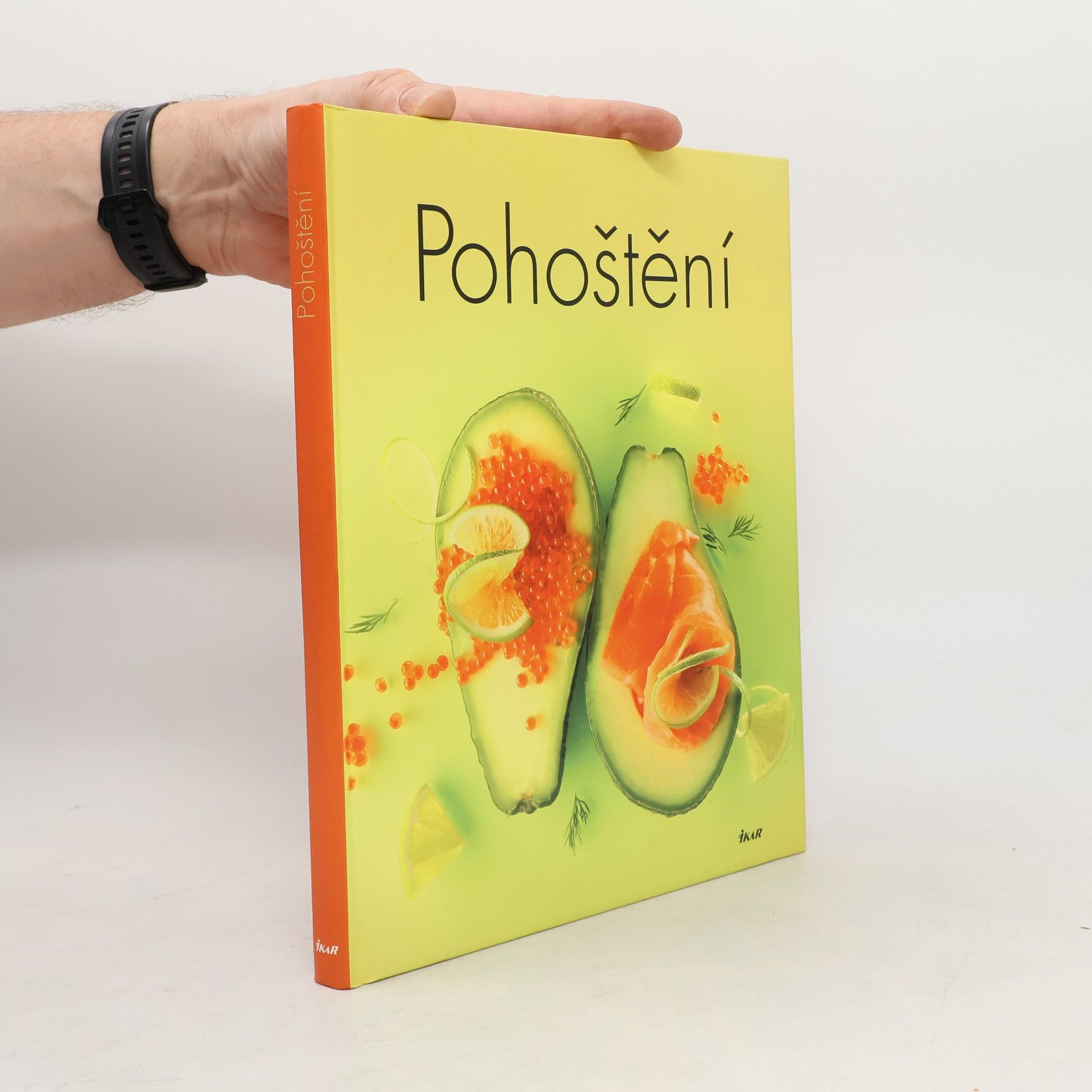 Autorenkollektiv Pohoštění