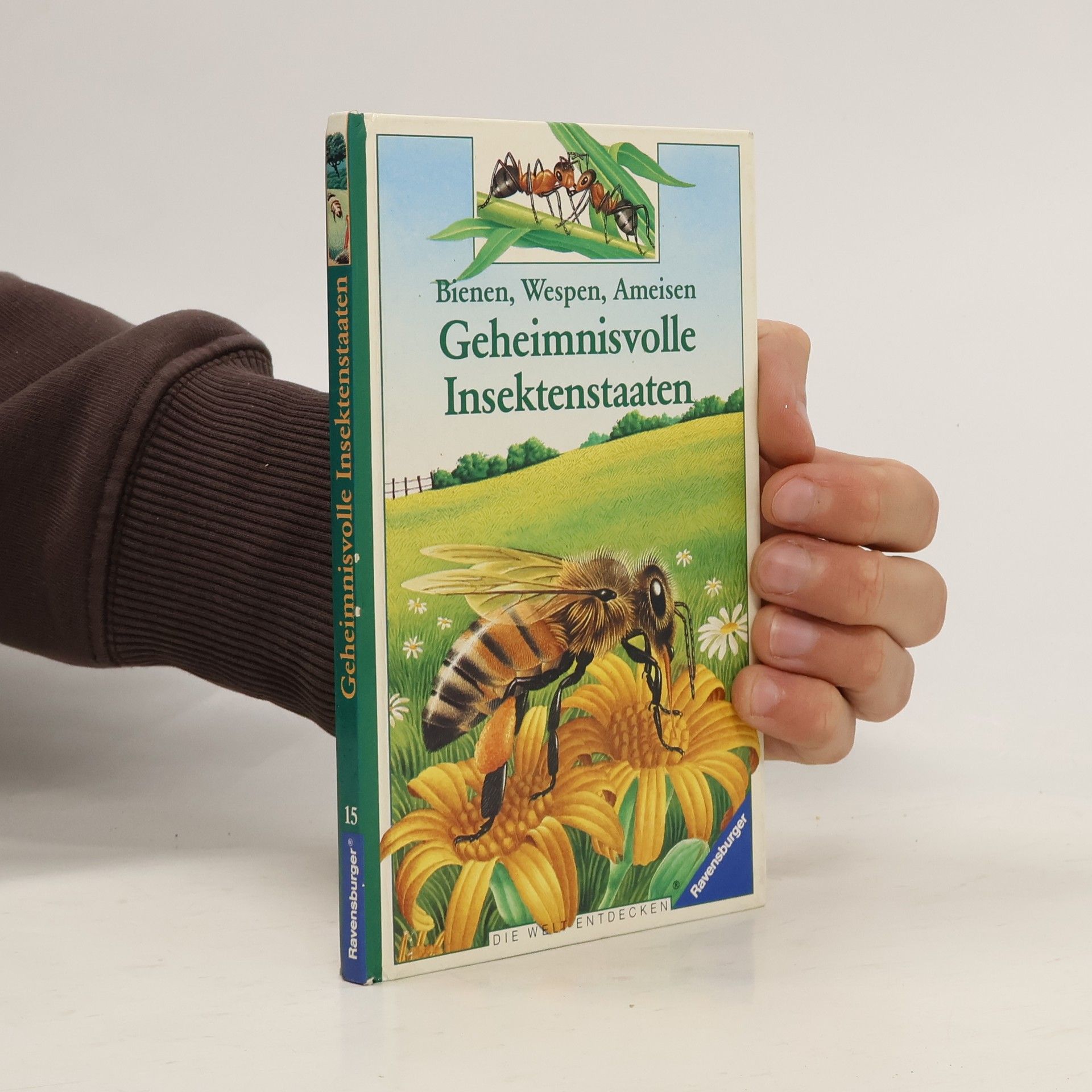Geheimnisvolle Insektenstaaten