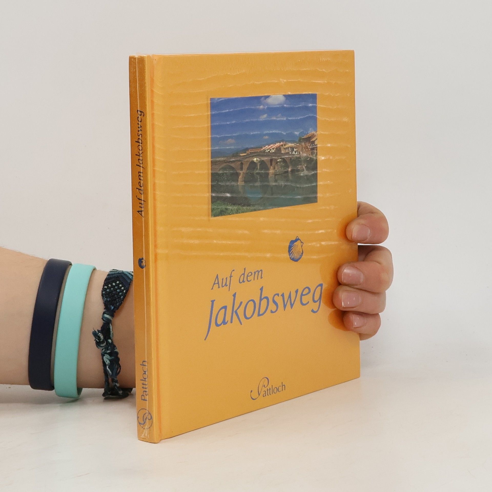 Bettina Gratzki Auf dem Jakobsweg