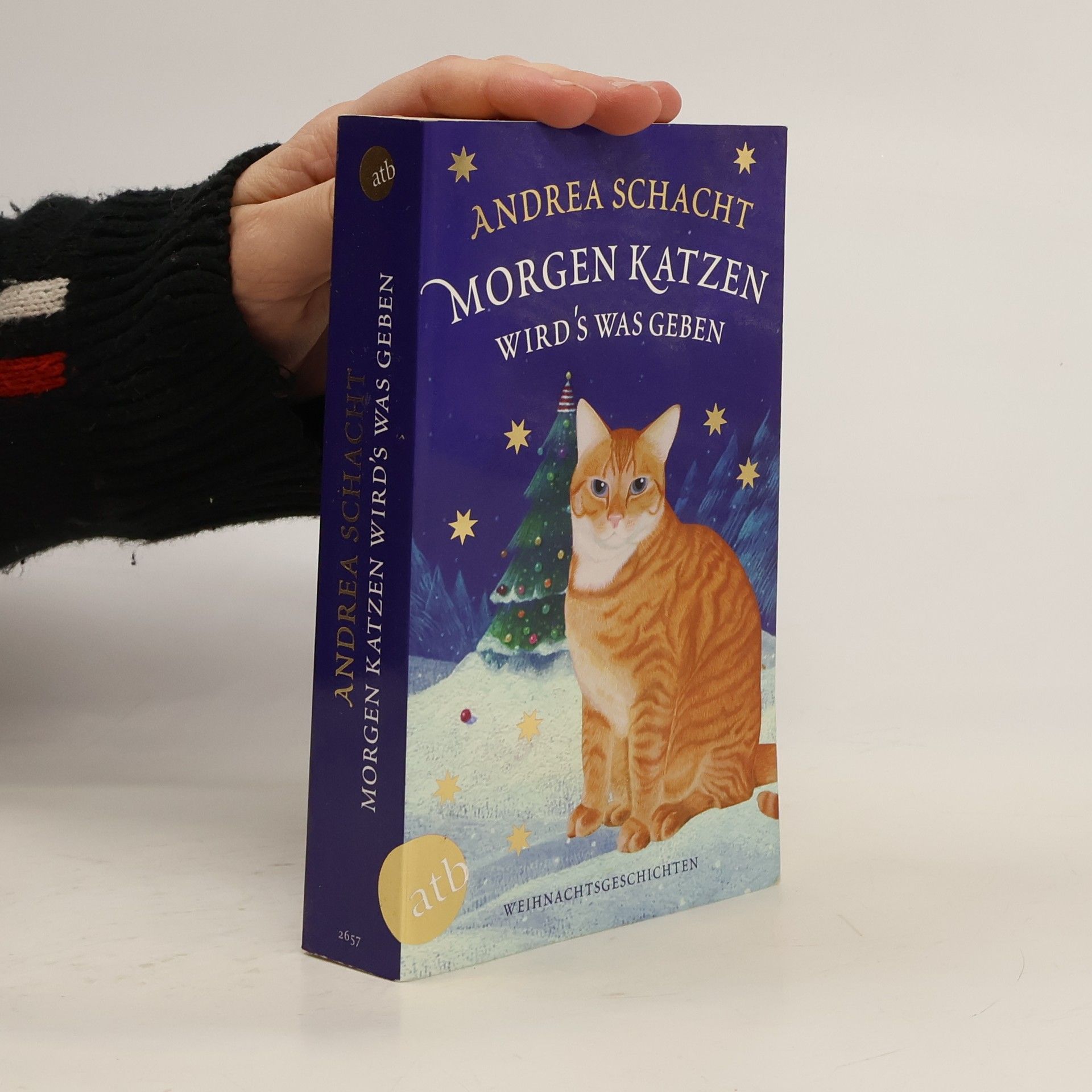 Andrea Schacht Morgen Katzen. Wird's Was Gegen