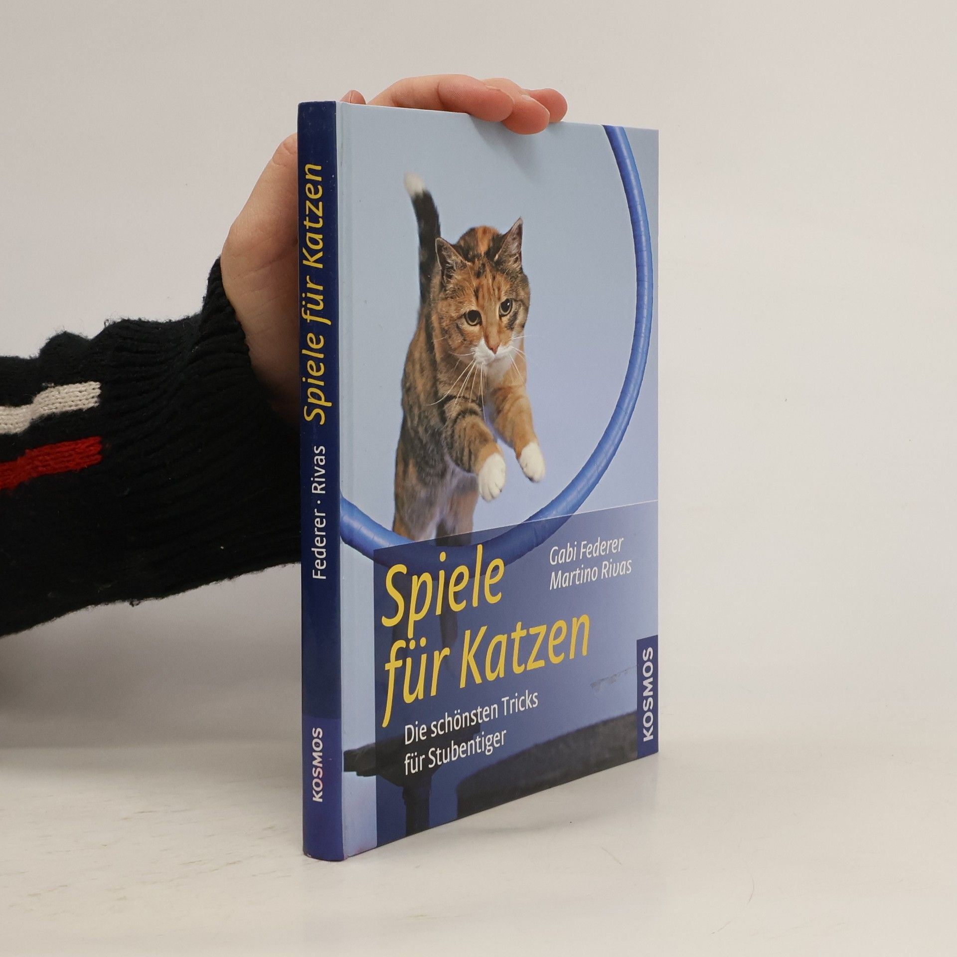 Gabi Federer Spiele für Katzen