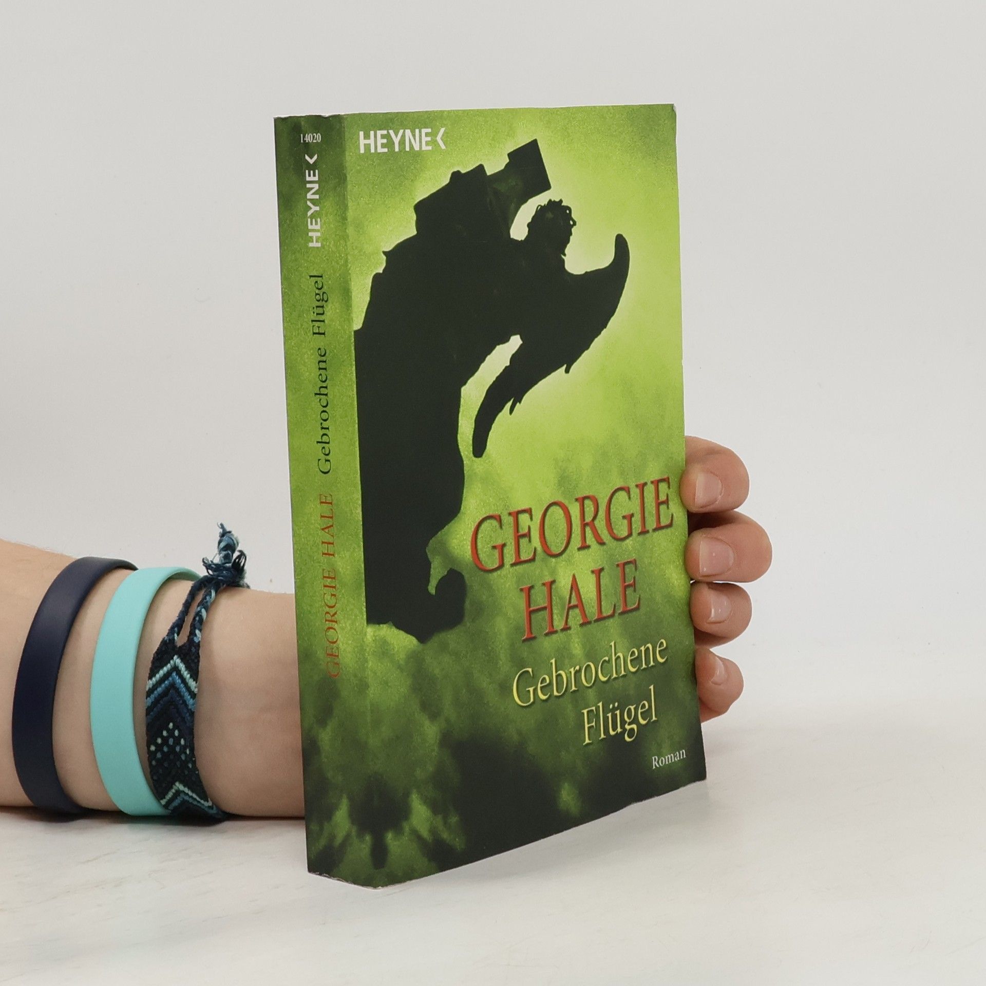 Gebrochene Flügel. Roman