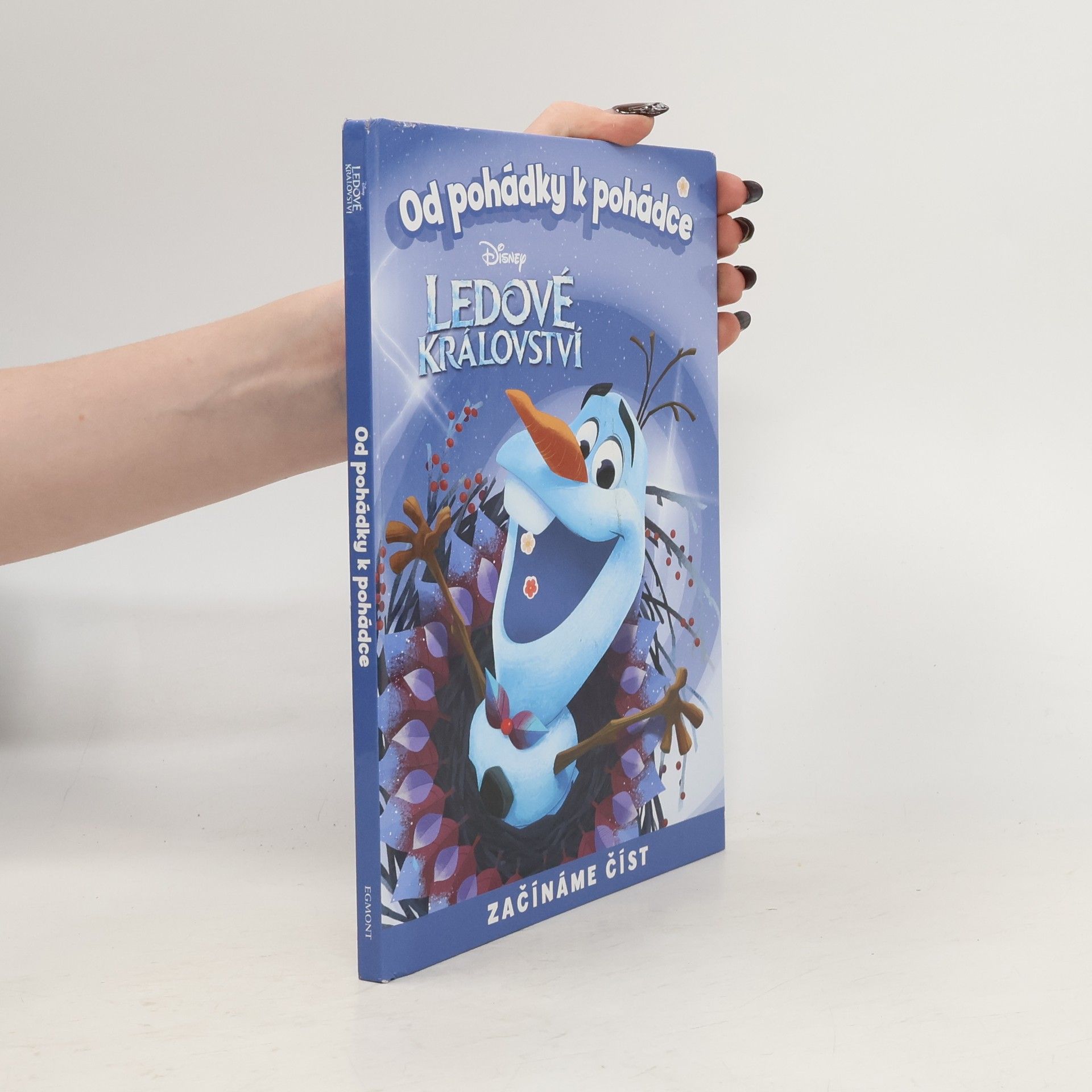 Od pohádky k pohádce. Ledové království
