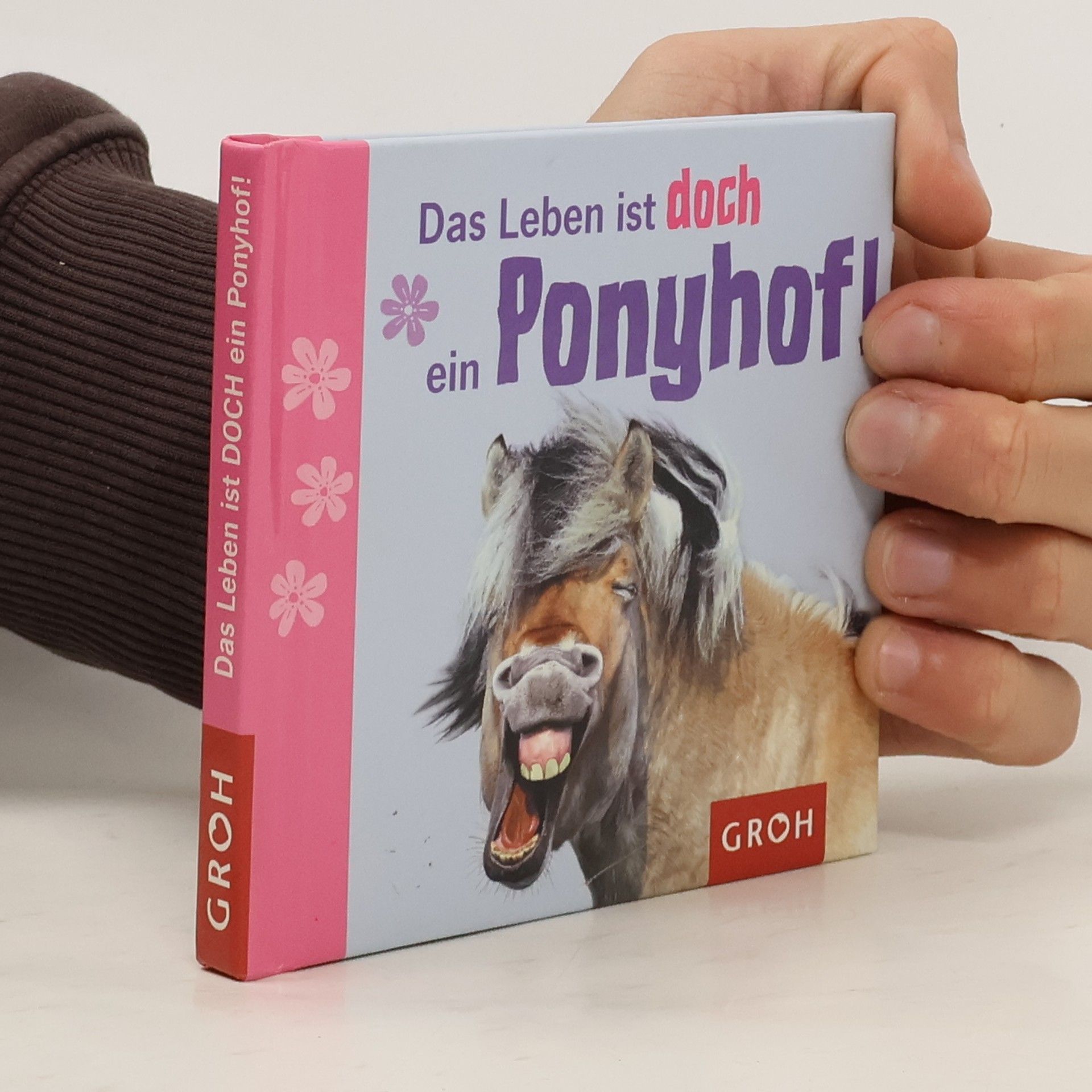Das Leben ist doch ein Ponyhof!