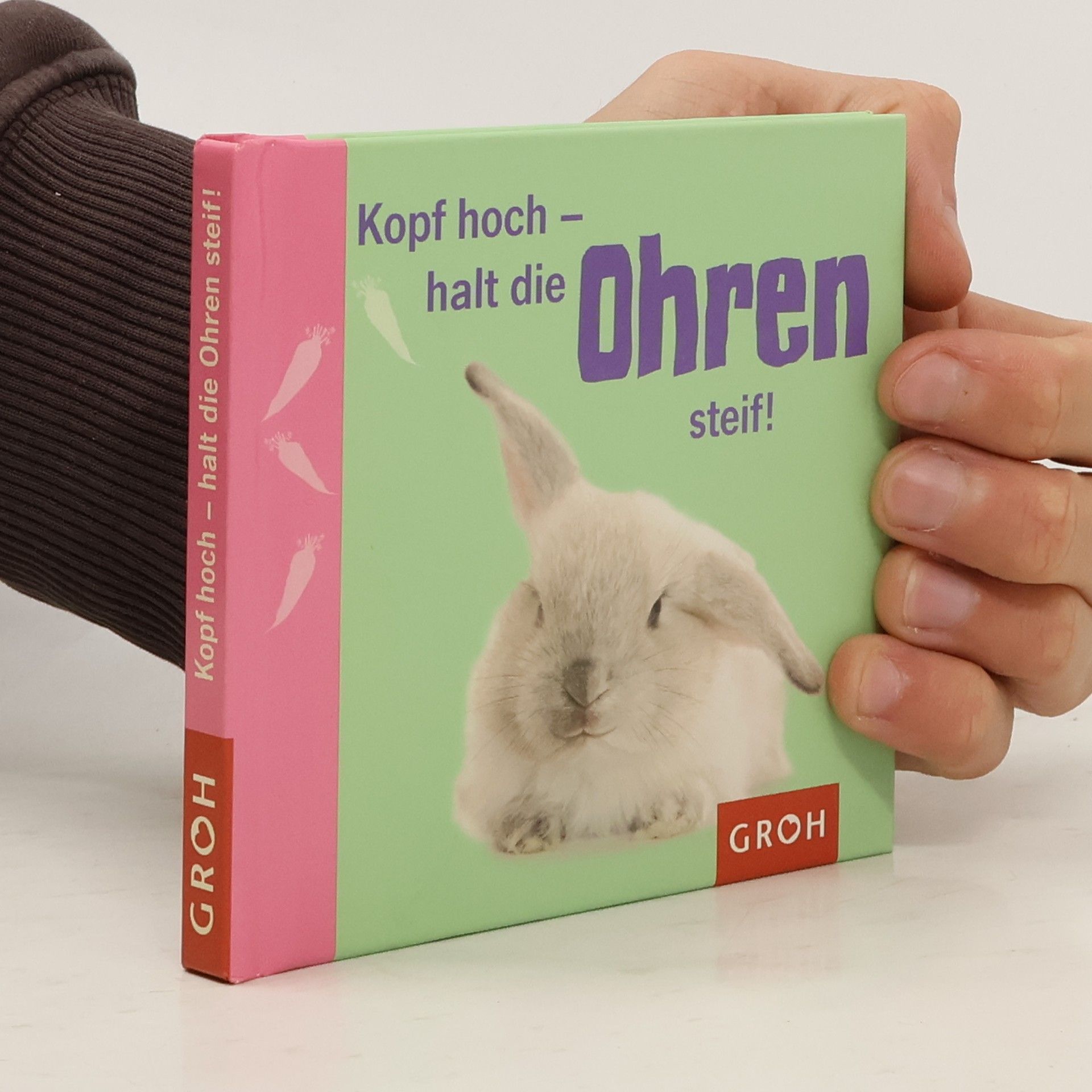 Kopf hoch - halt die Ohren steif!