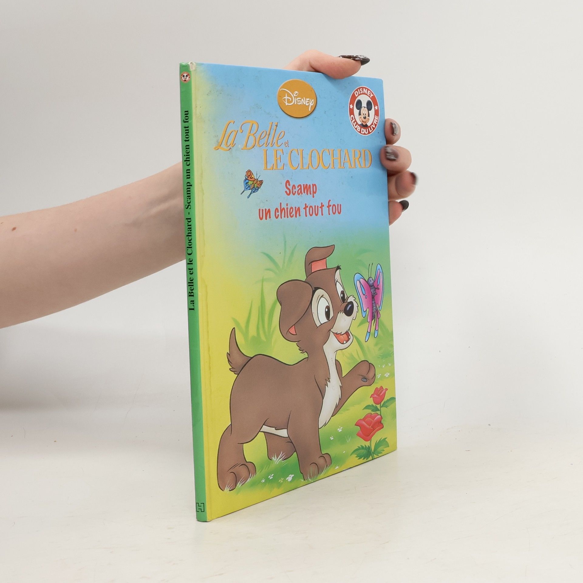 Autores varios La Belle et le Clochard