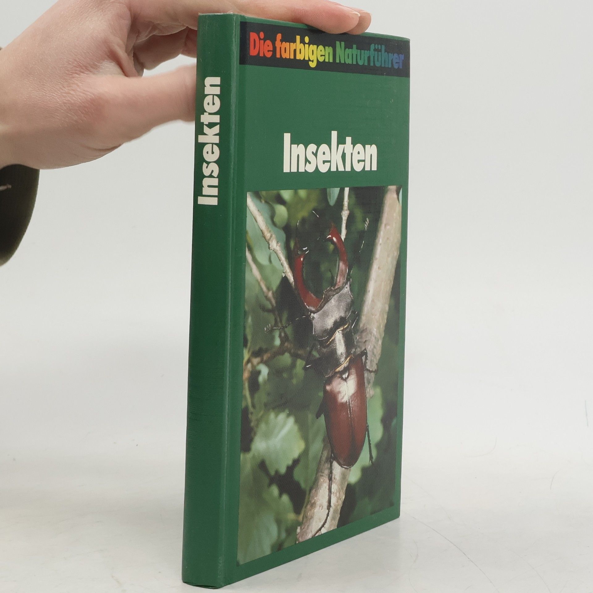 Insekten