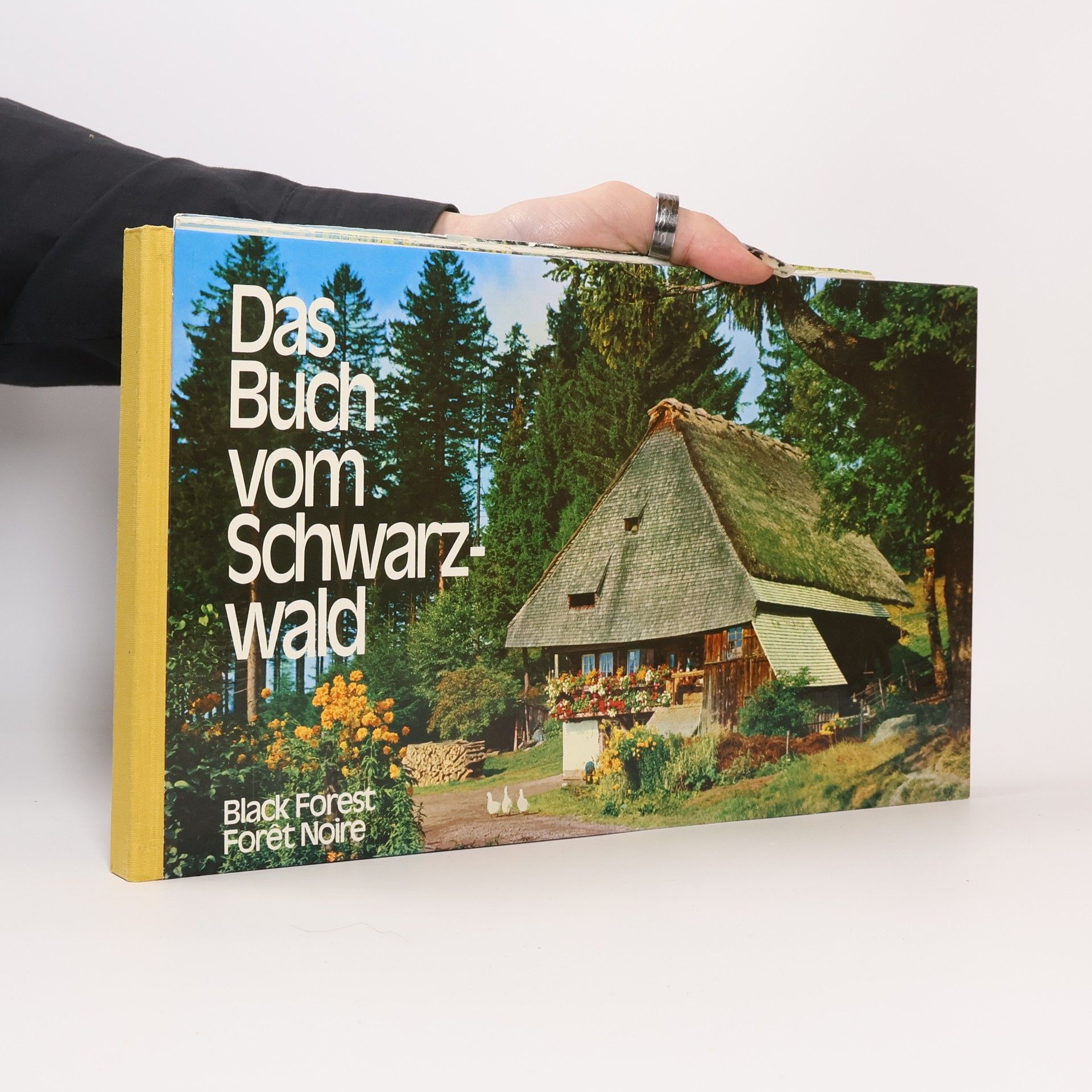 Autorenkollektiv Das Buch vom Schwarzwald