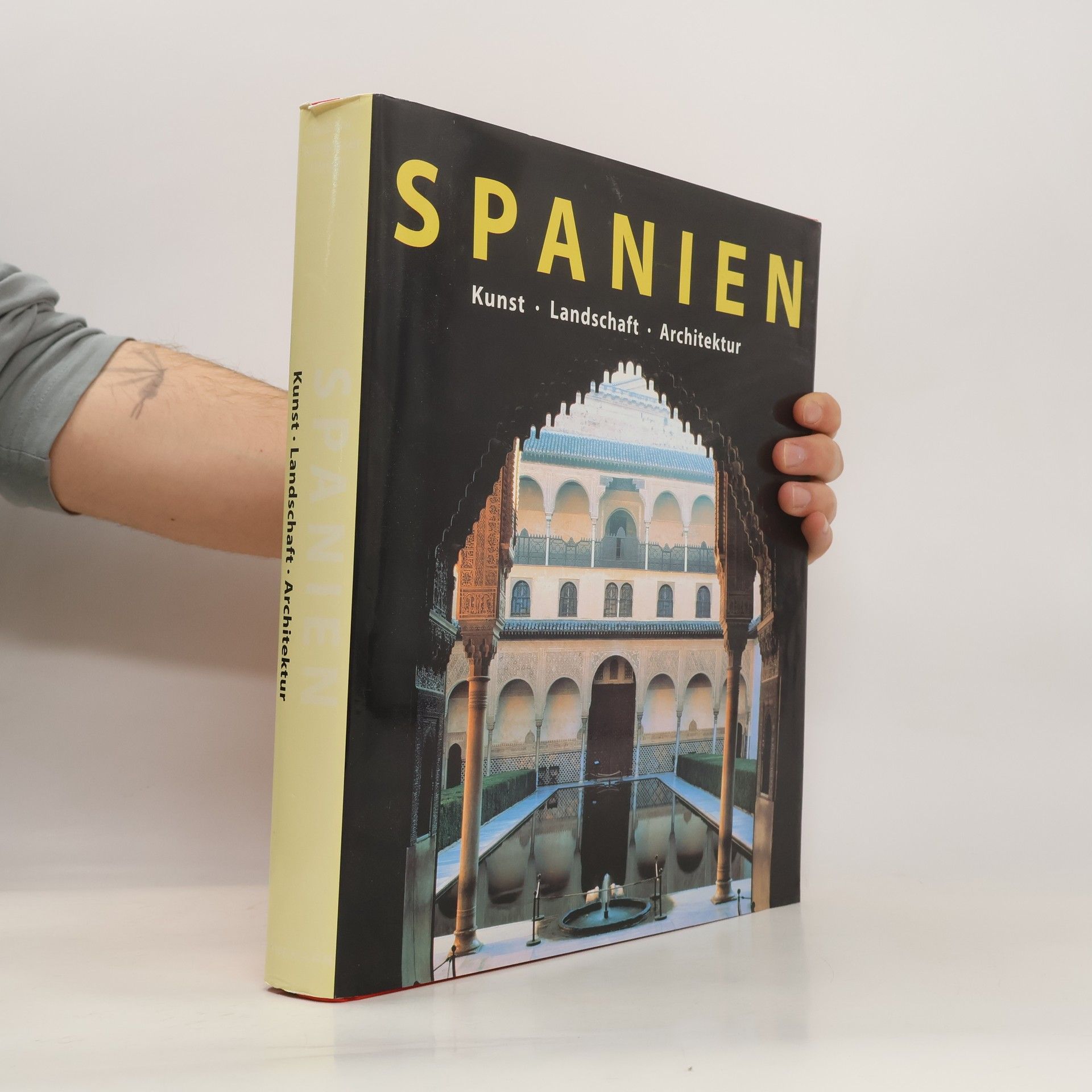 Spanien. Kunst, Landschaft, Architektur