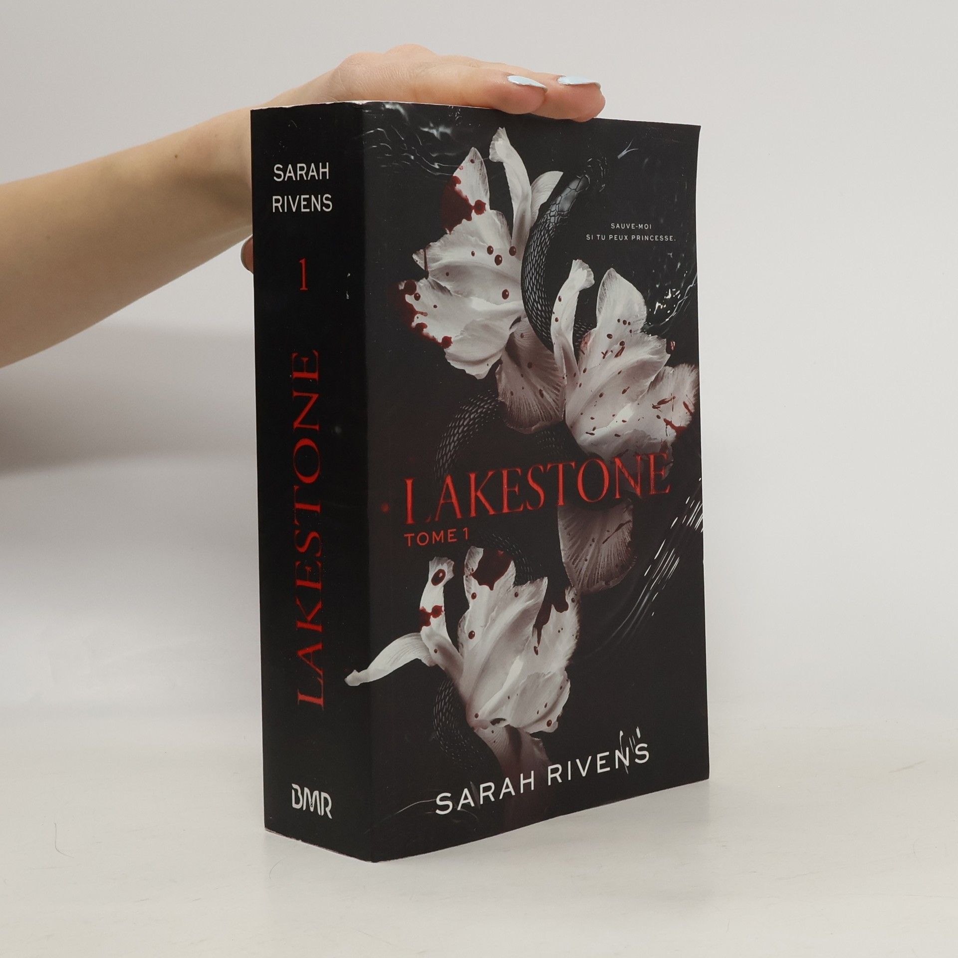 Sarah Rivens Lakestone - Tome 1