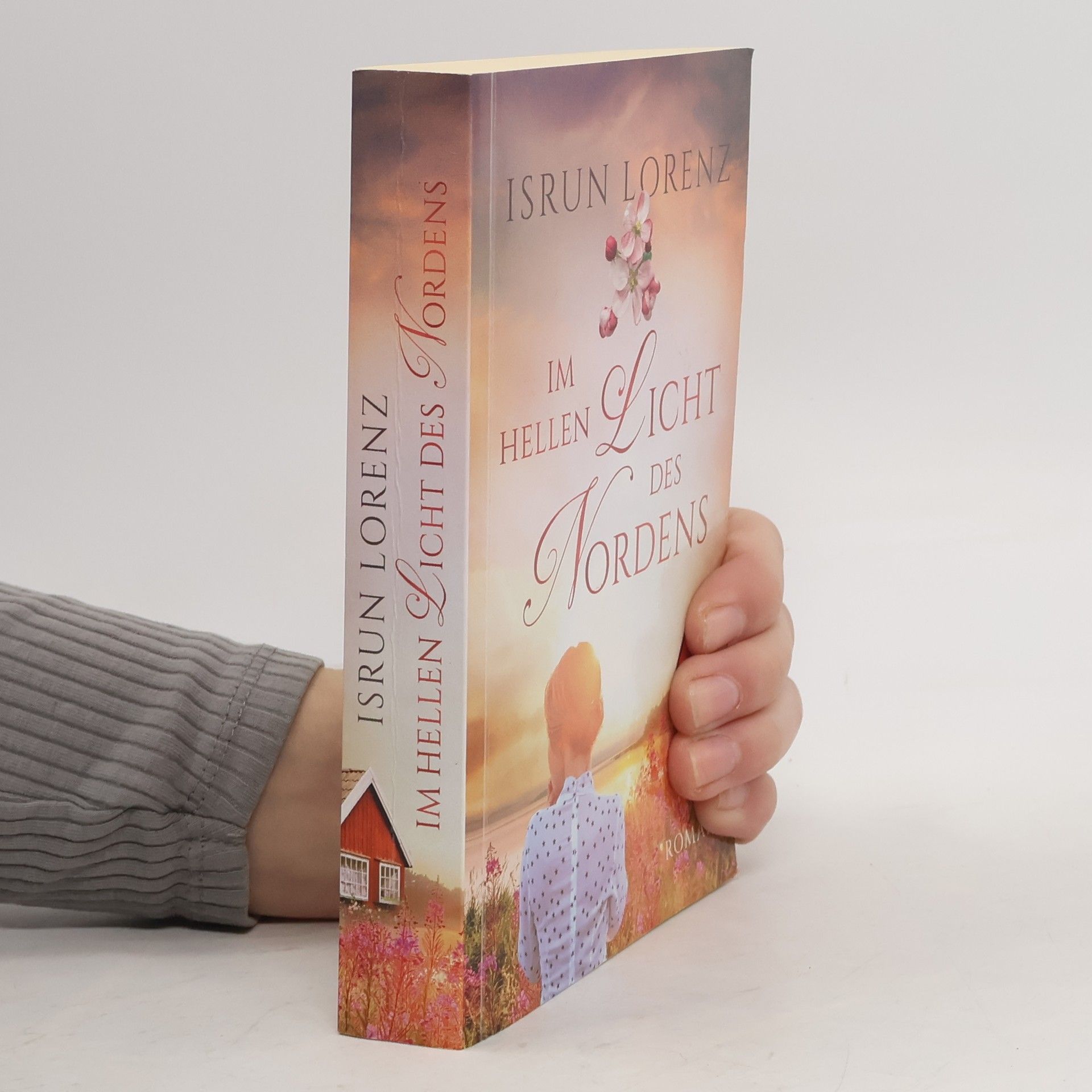 Im helle Licht des Nordens