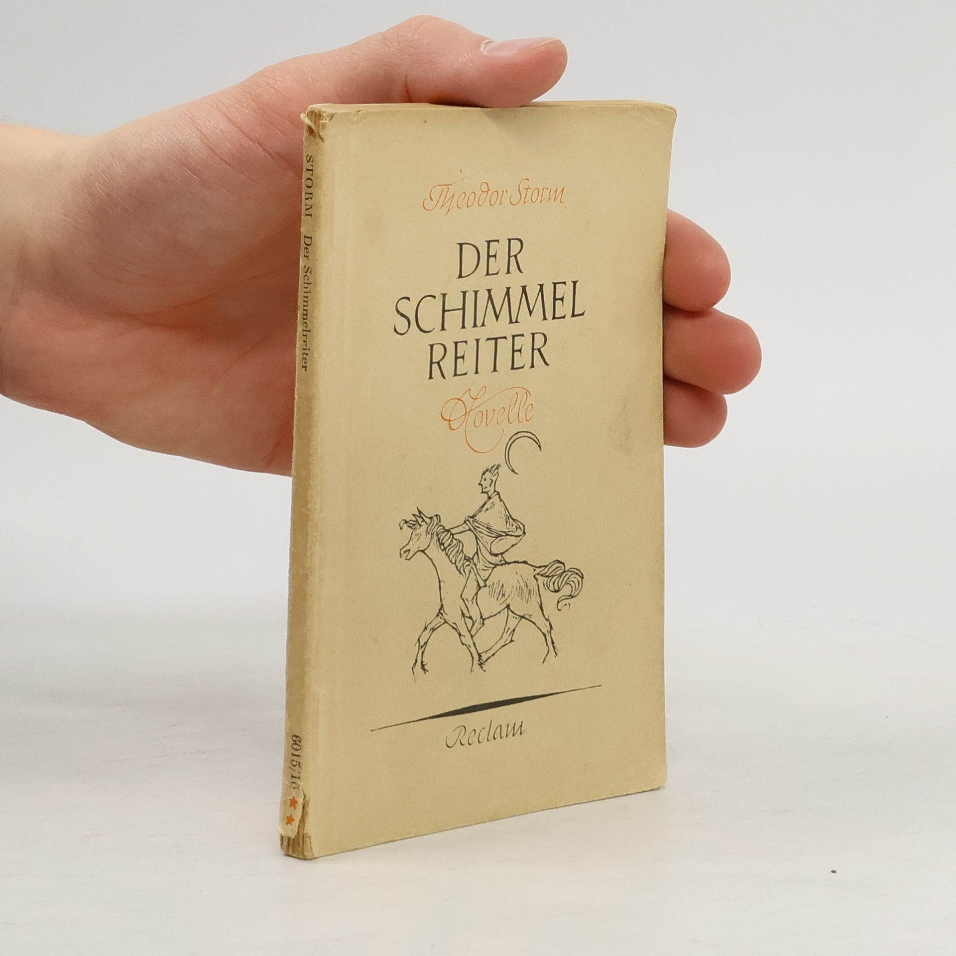 Theodor Storm Der schimmel Reiter