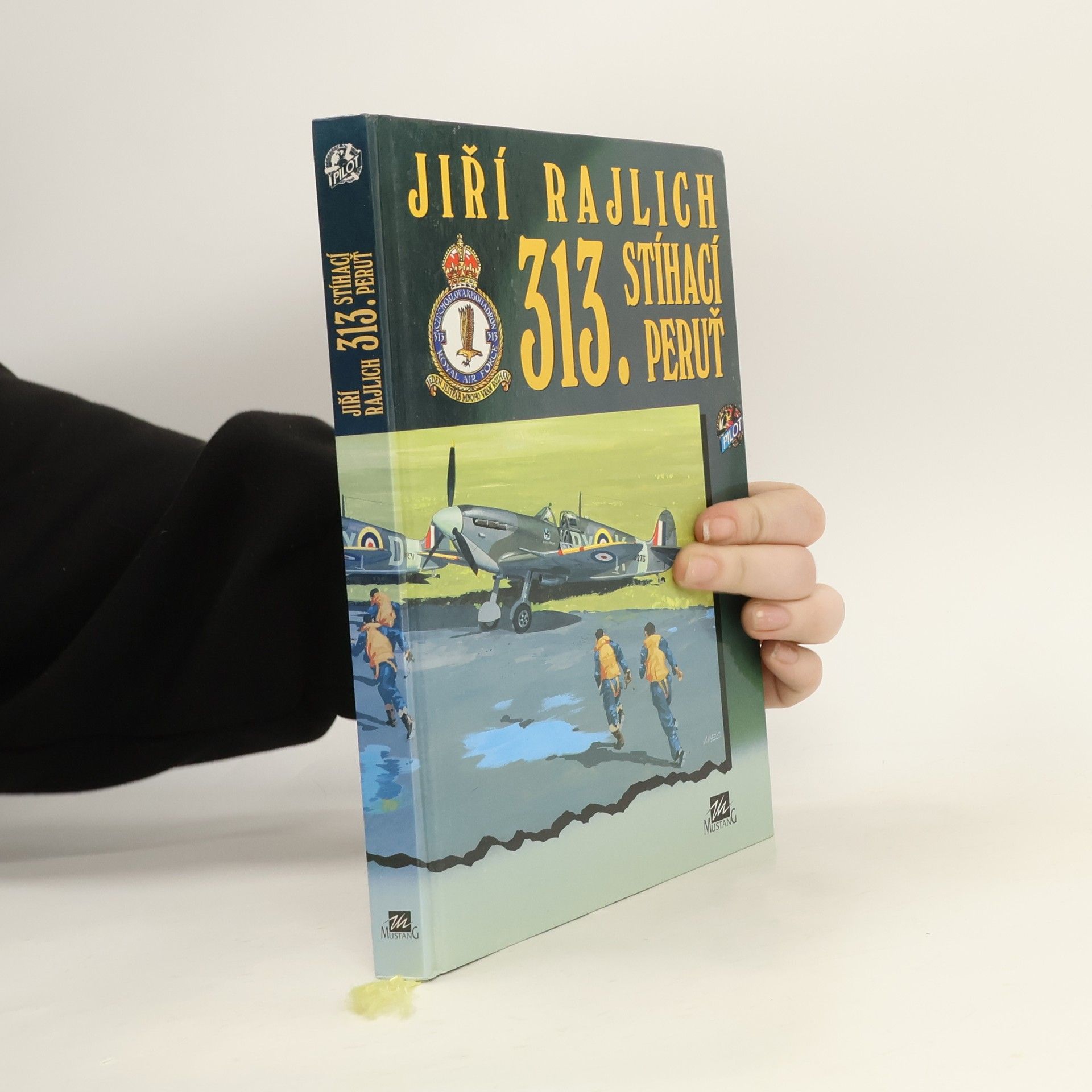 Jiří Rajlich 313. stíhací peruť