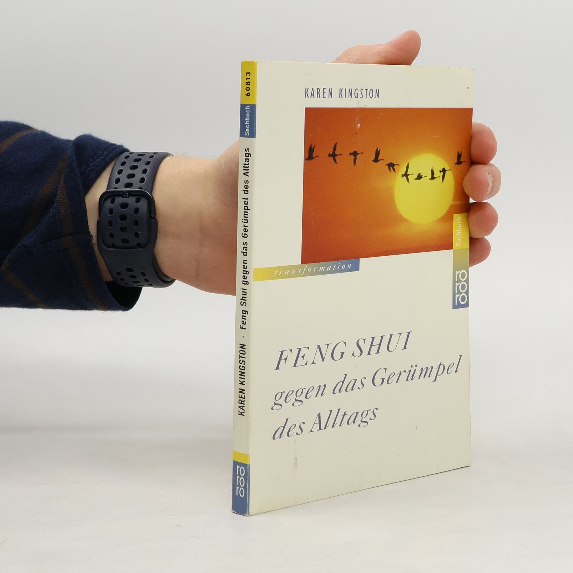 Karen Kingston Feng Shui, gegen das Gerümpel des Altgas