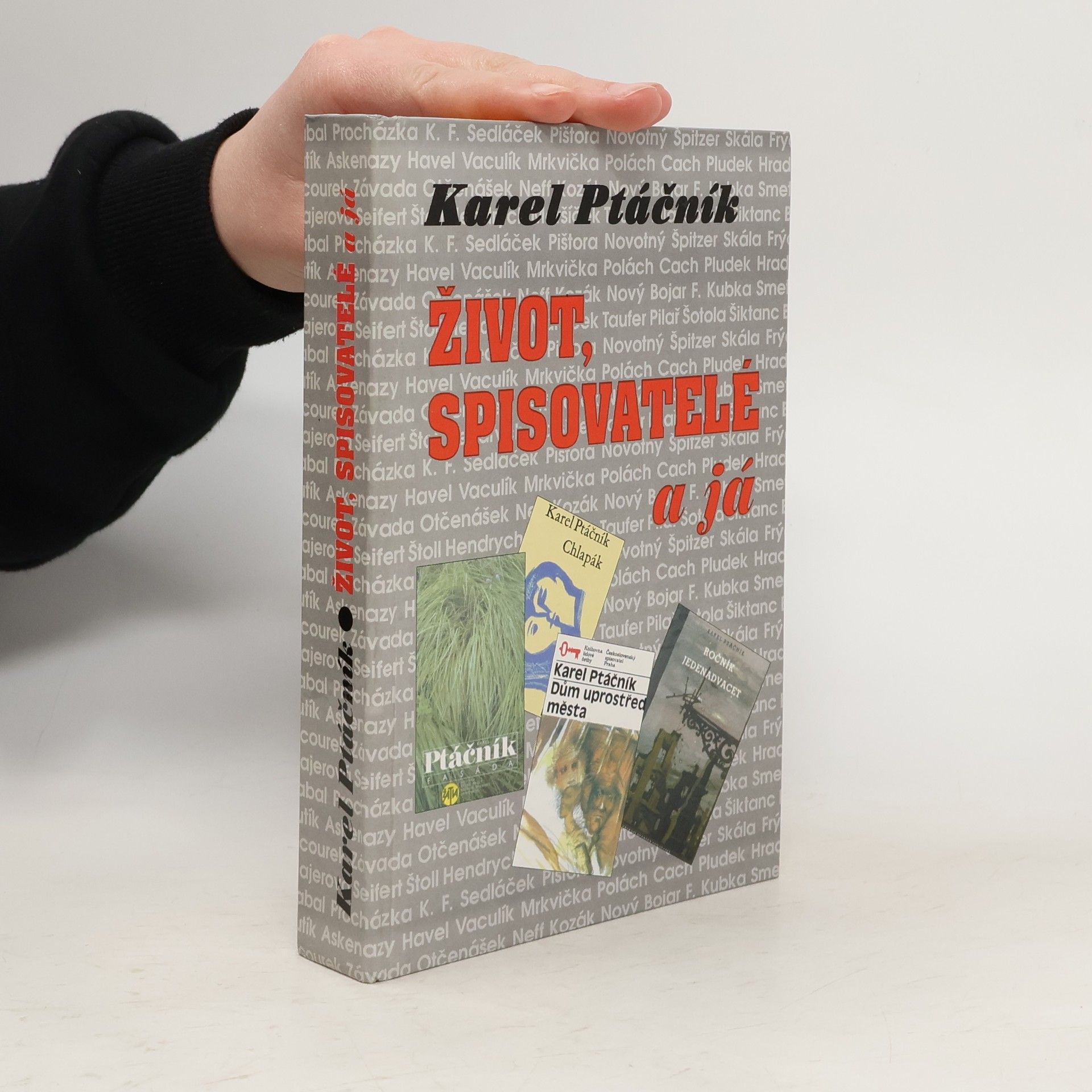 Život, spisovatelé a já