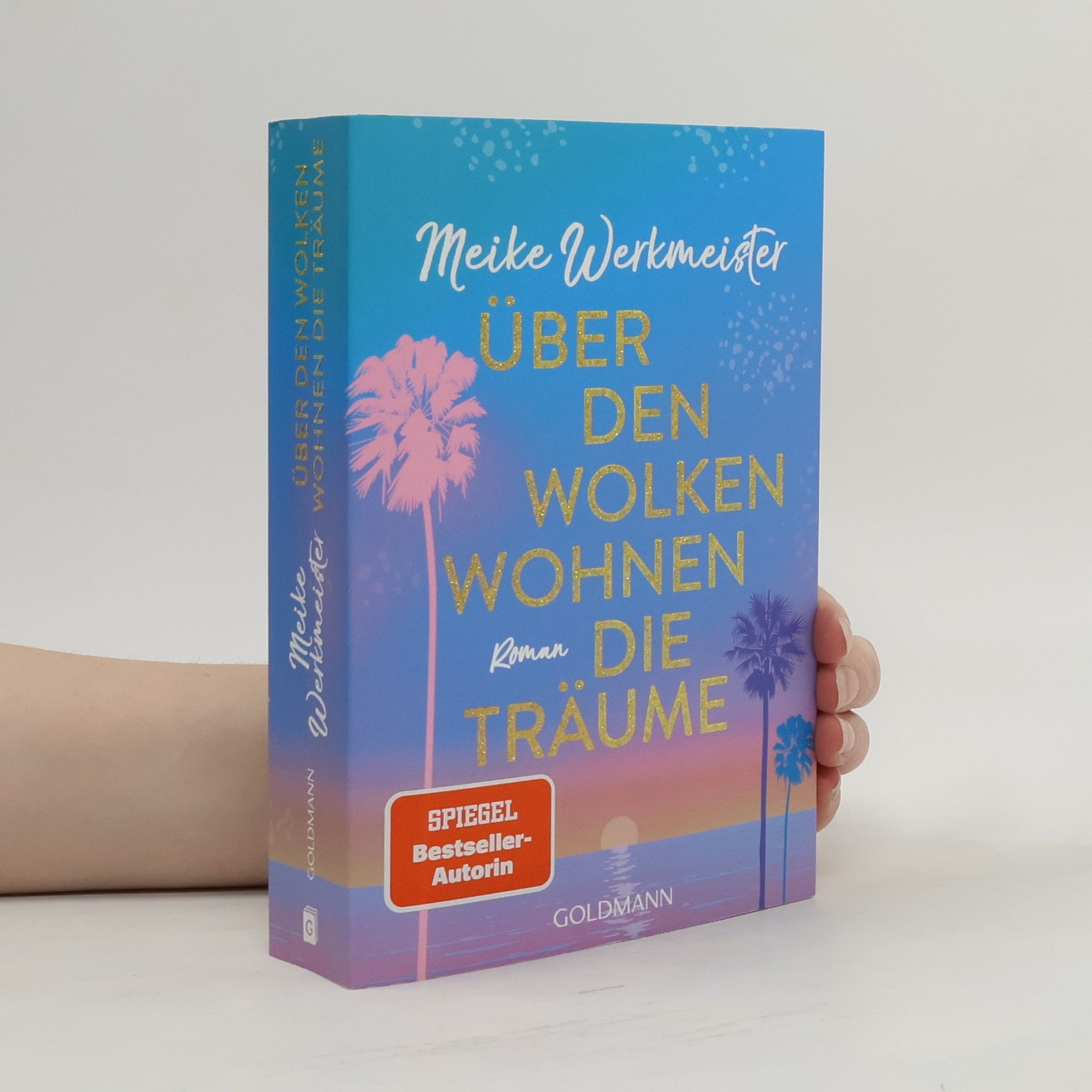 Meike Werkmeister Über den Wolken wohnen die Träume