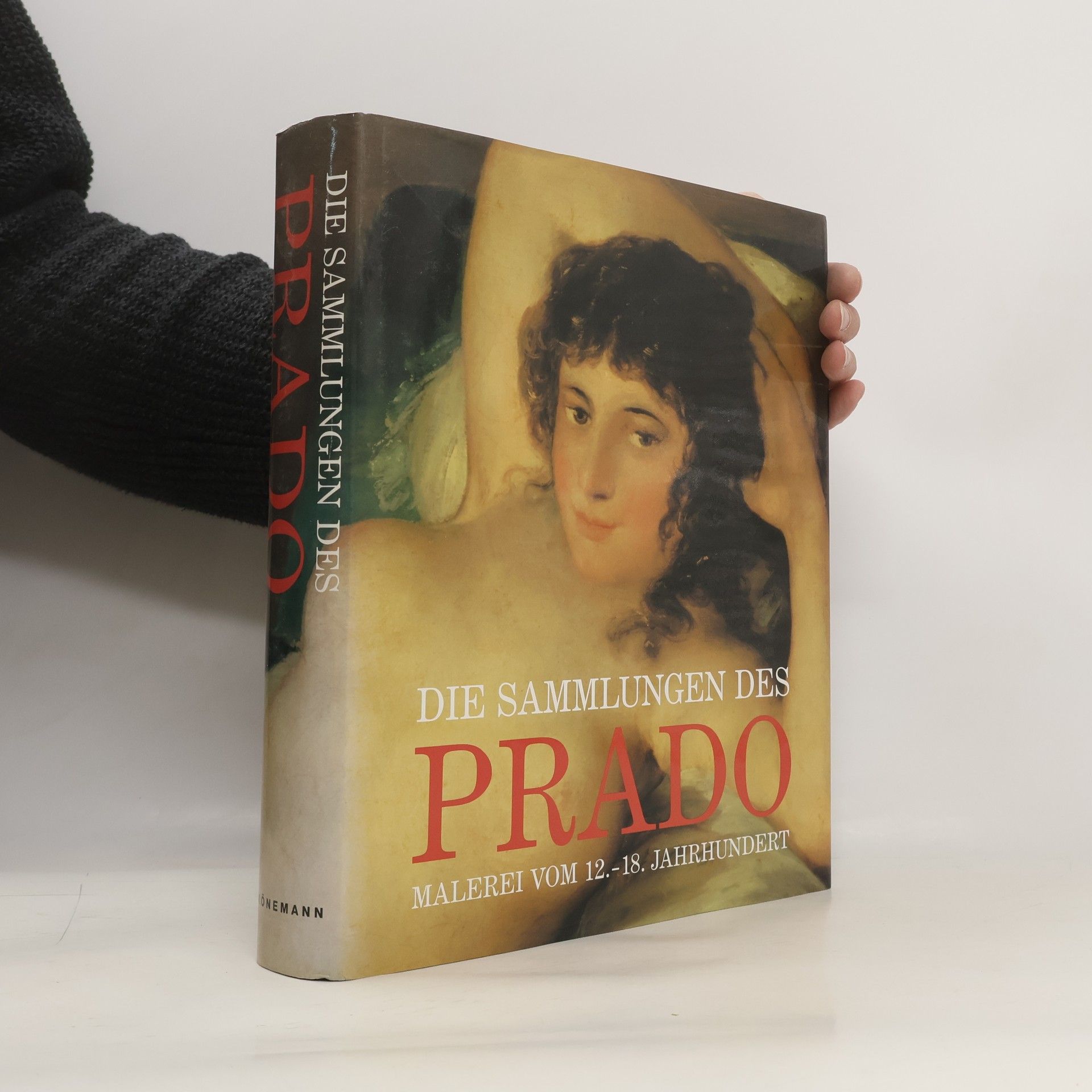 José Rogelio Buendía Die Sammlungen des Prado : malerei vom 12. - 18. Jahrhundert