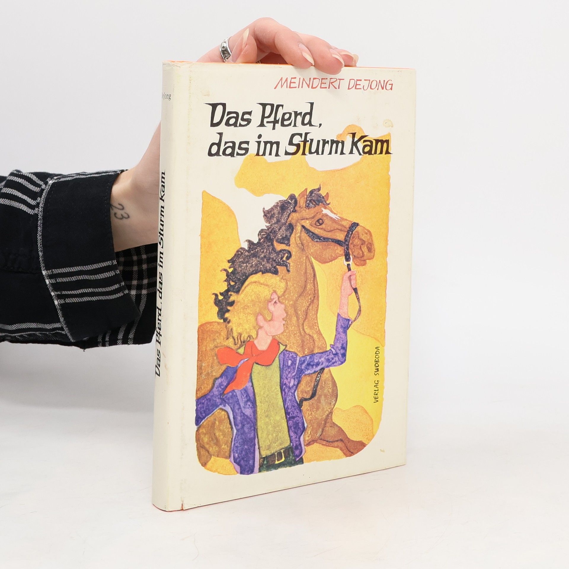 Das Pferd, das im Sturm kam
