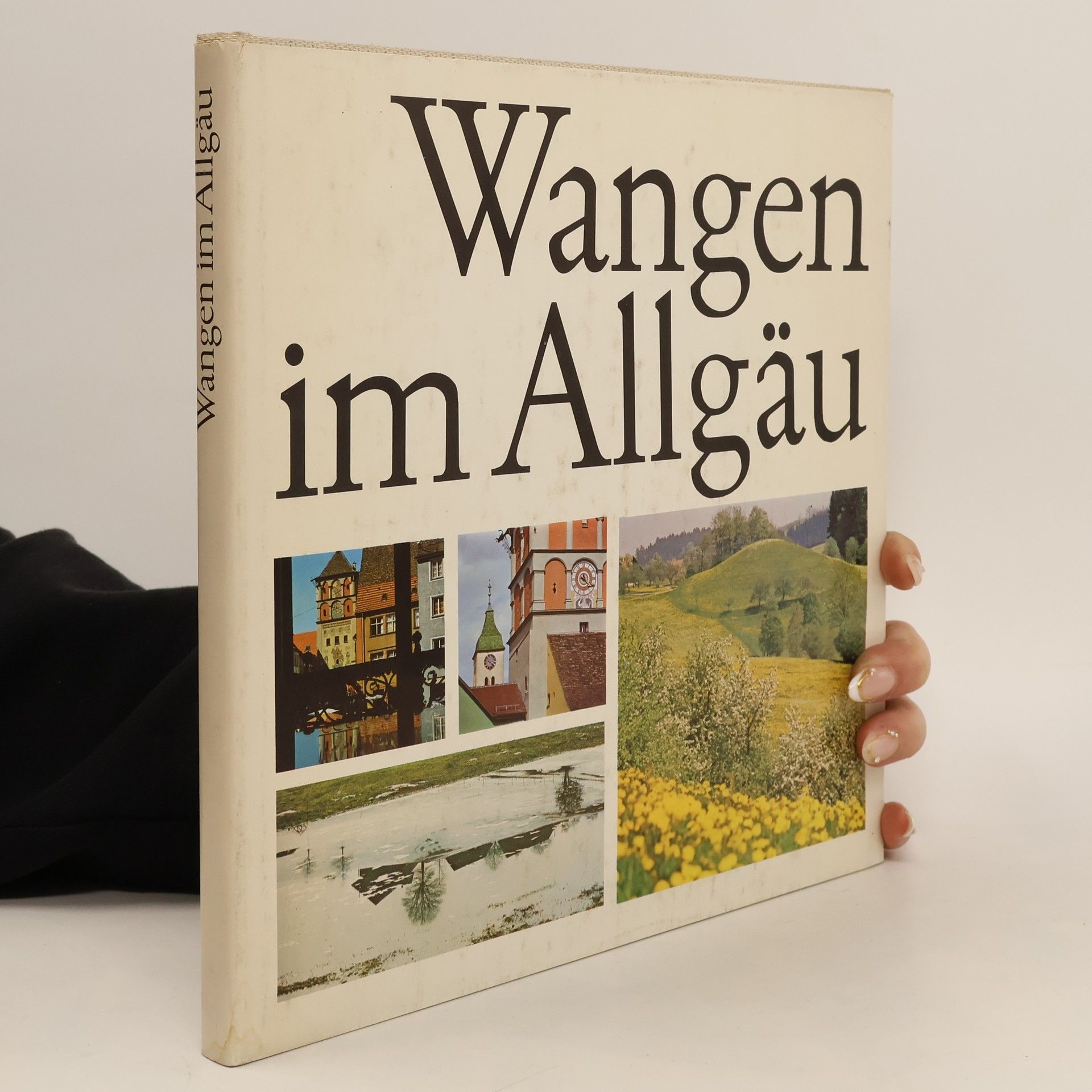 Kolektiv autorů Wangen im Allgäu