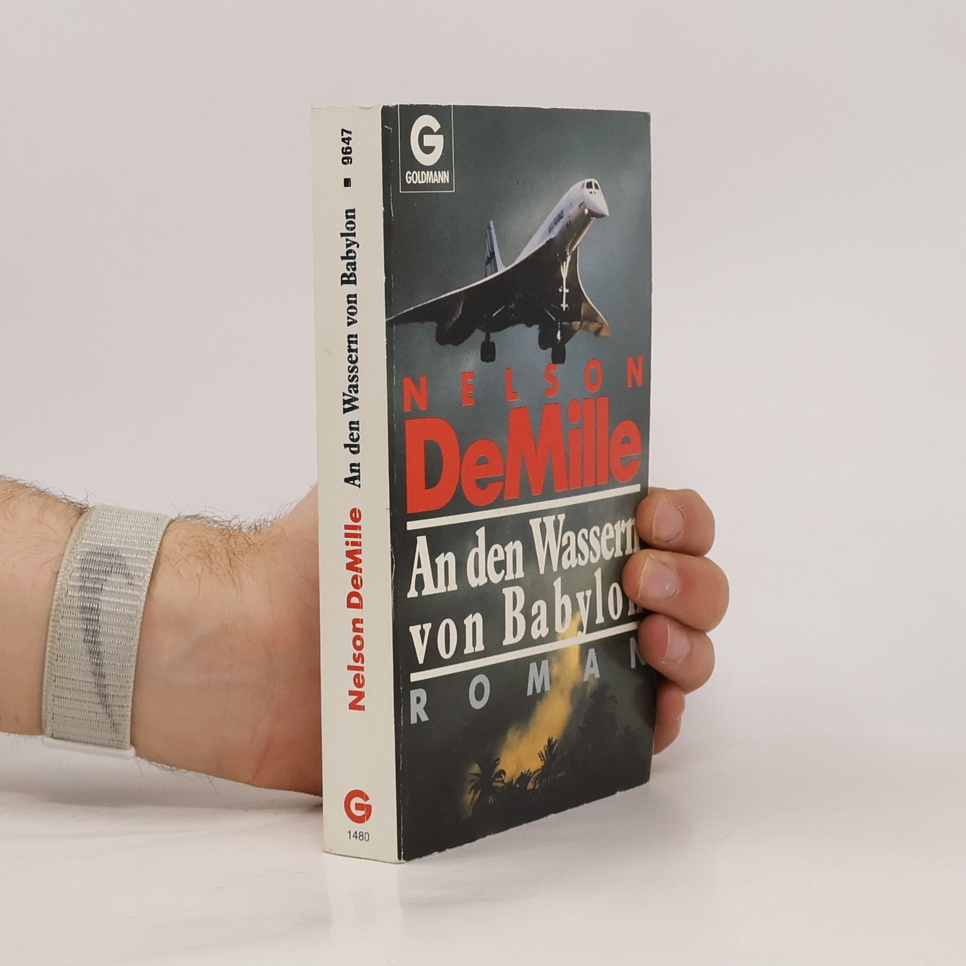 Nelson DeMille An den Wassern von Babylon