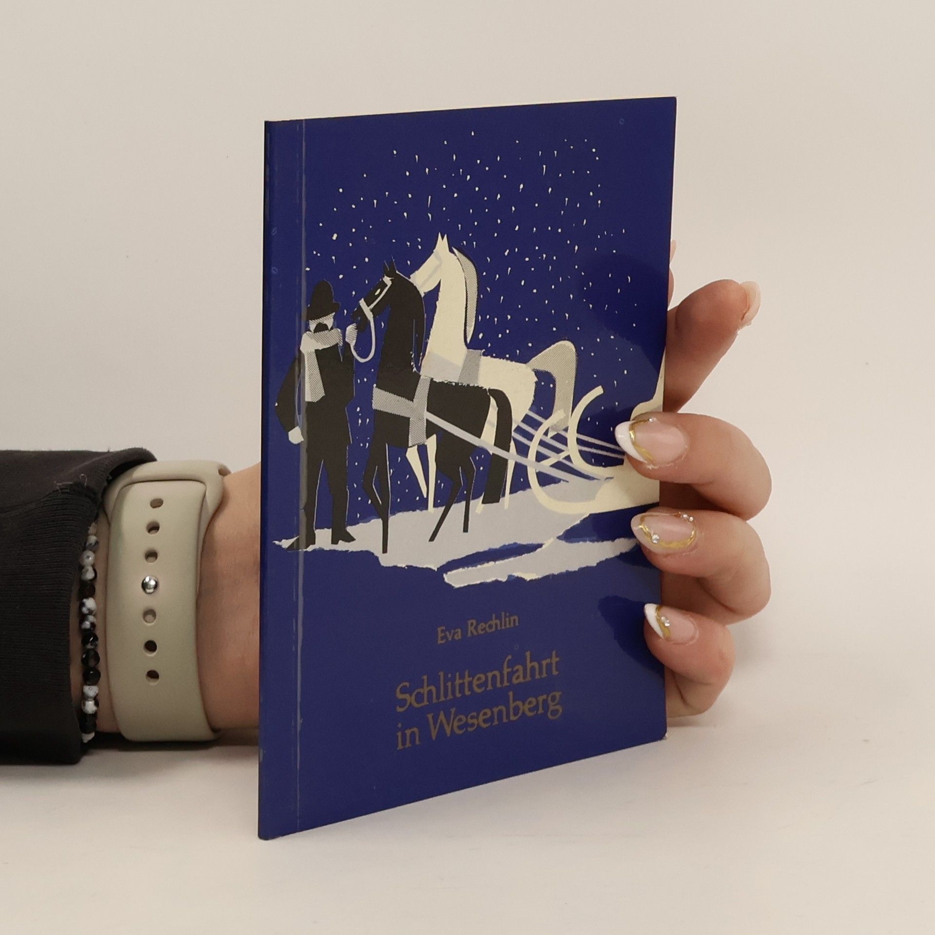 Schlittenfahrt in Wesenberg