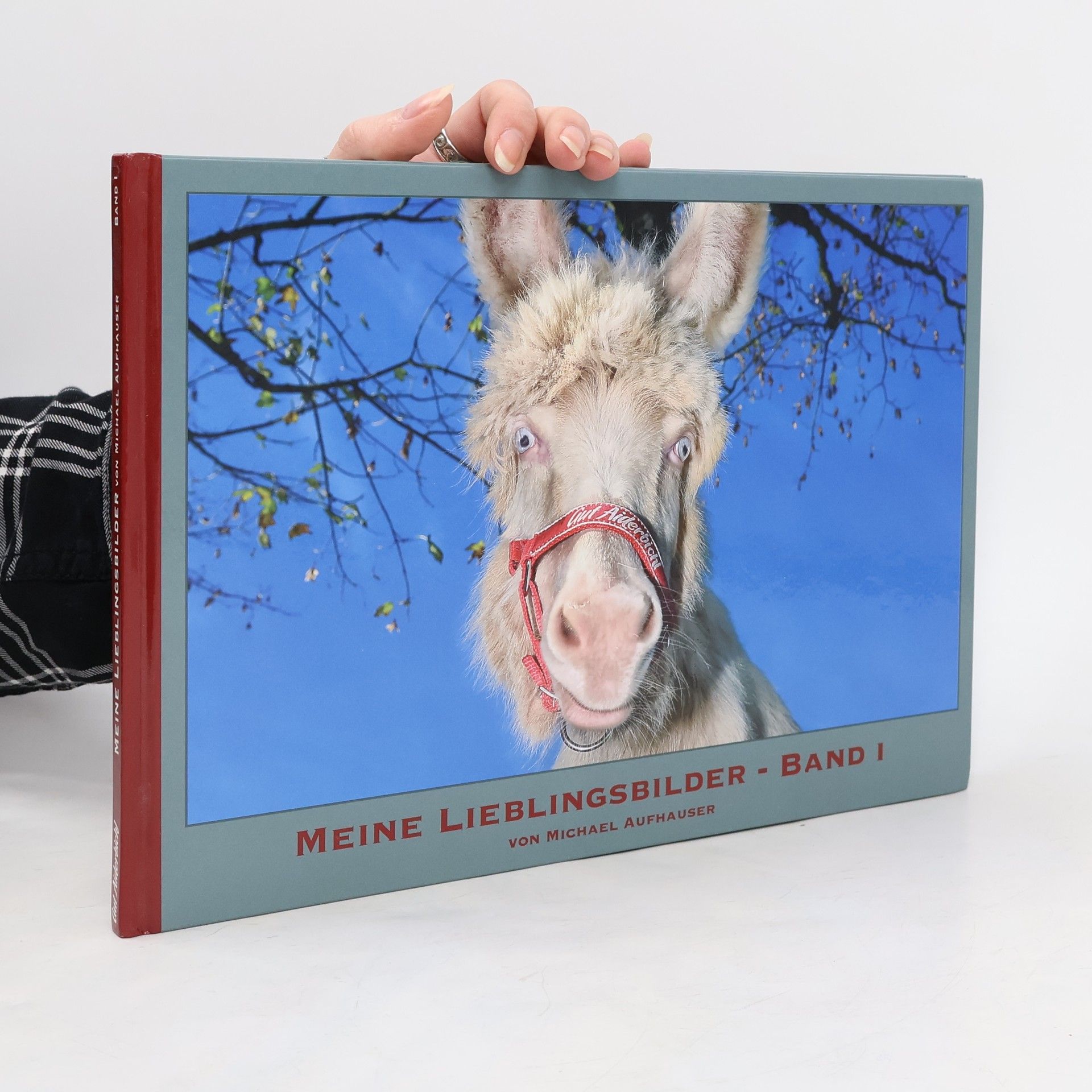 Meine Lieblingsbilder - Band 1