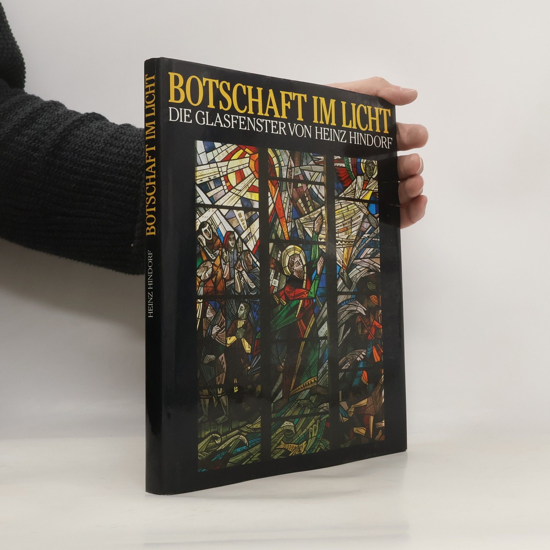 Auteurscollectief Botschaft im Licht