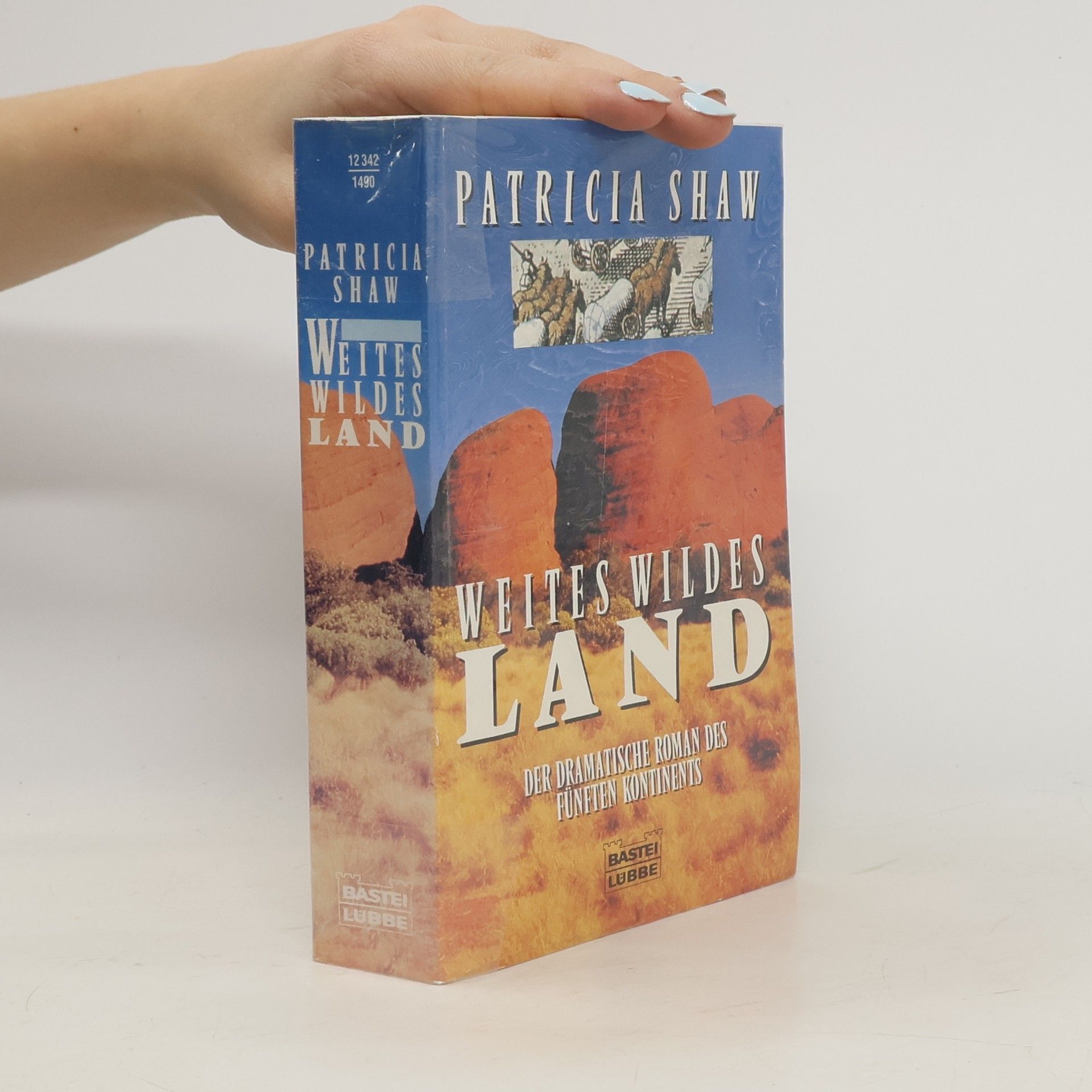 Patricia Shaw Weites wildes Land