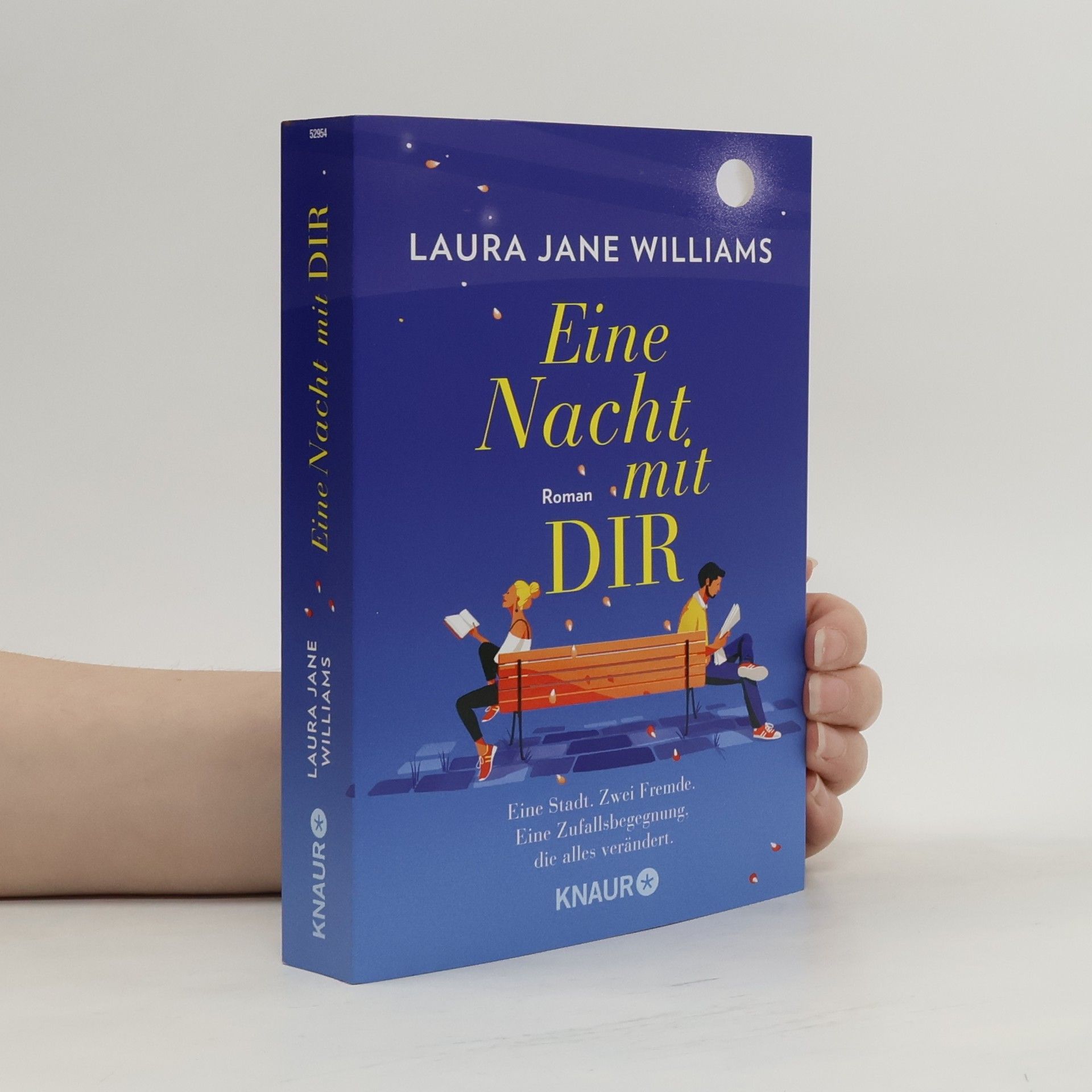 Laura Jane Williams Eine Nacht mit dir