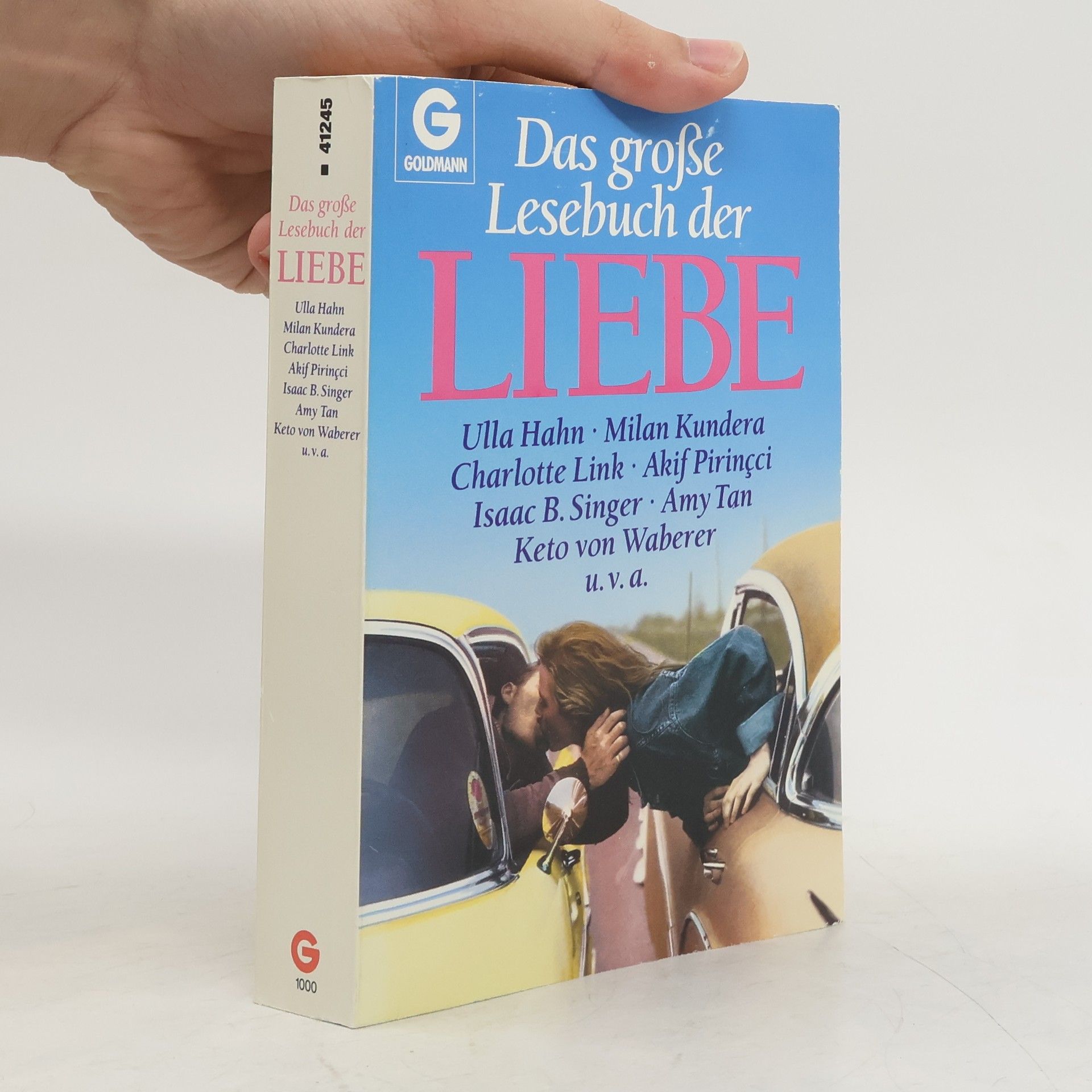 Milan Kundera Das grosse Lesebuch der Liebe