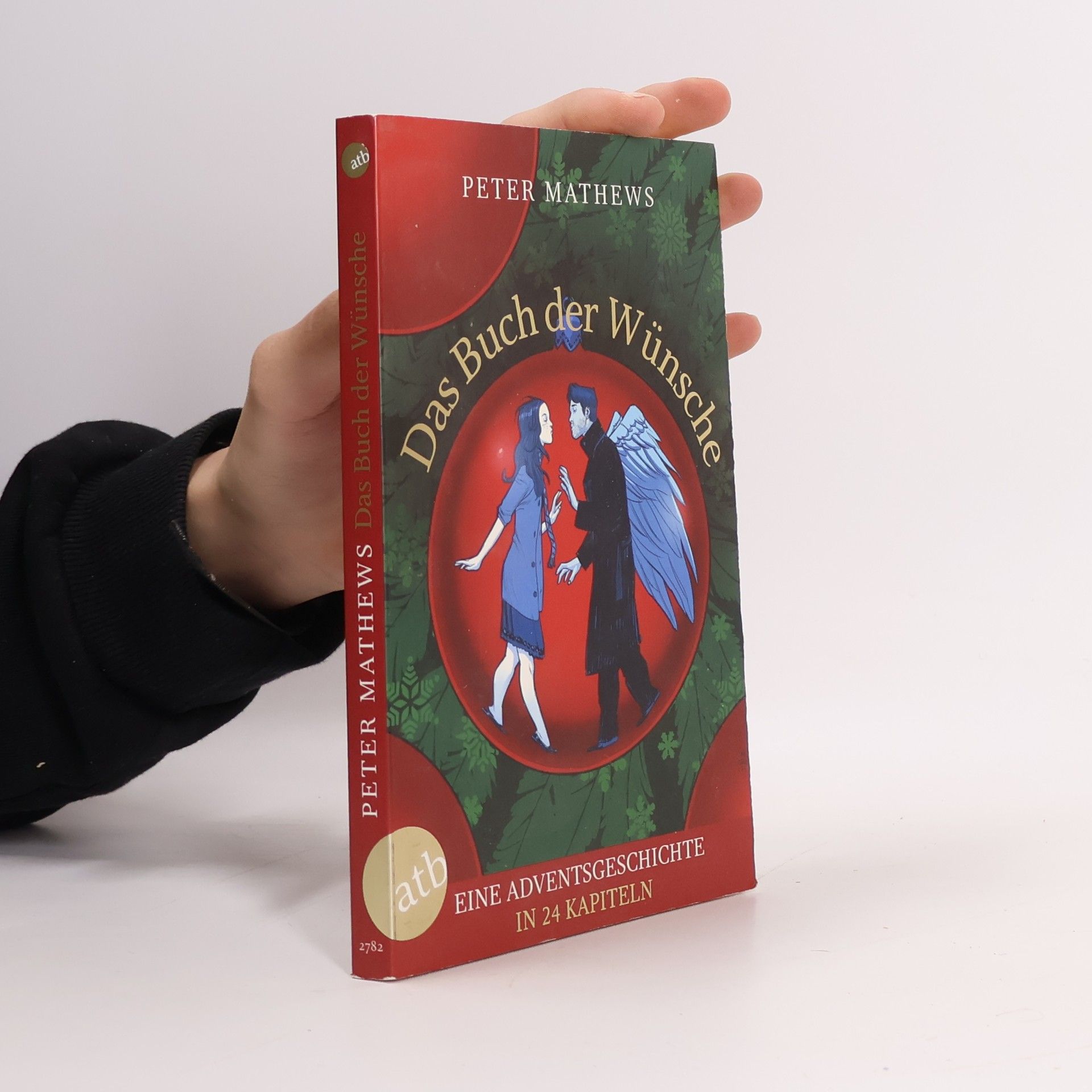 Peter Mathews Das Buch der Wünsche. Eine Adventsgeschichte in 24 Kapiteln