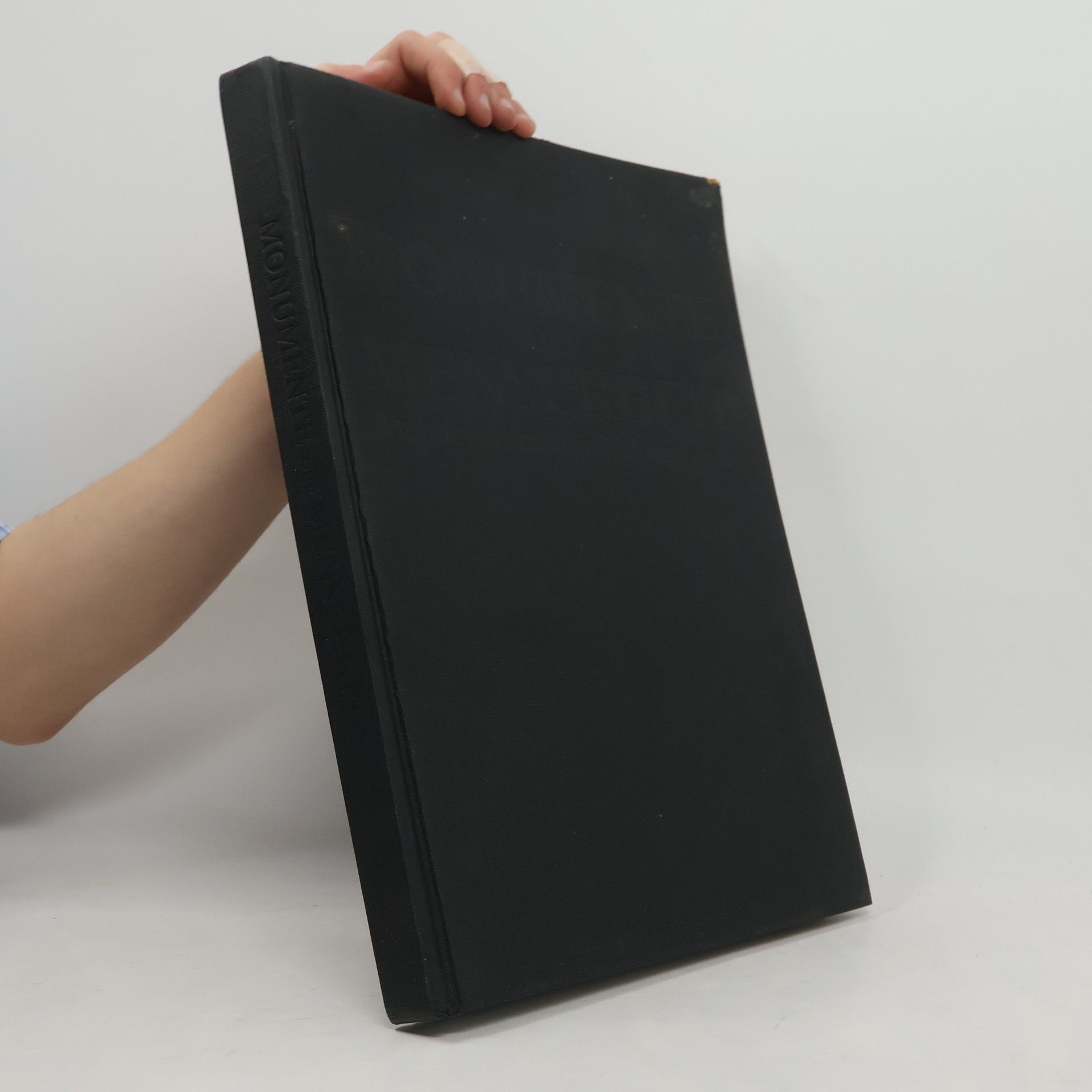 Alessandra Capodiferro Monumente der Menschheit