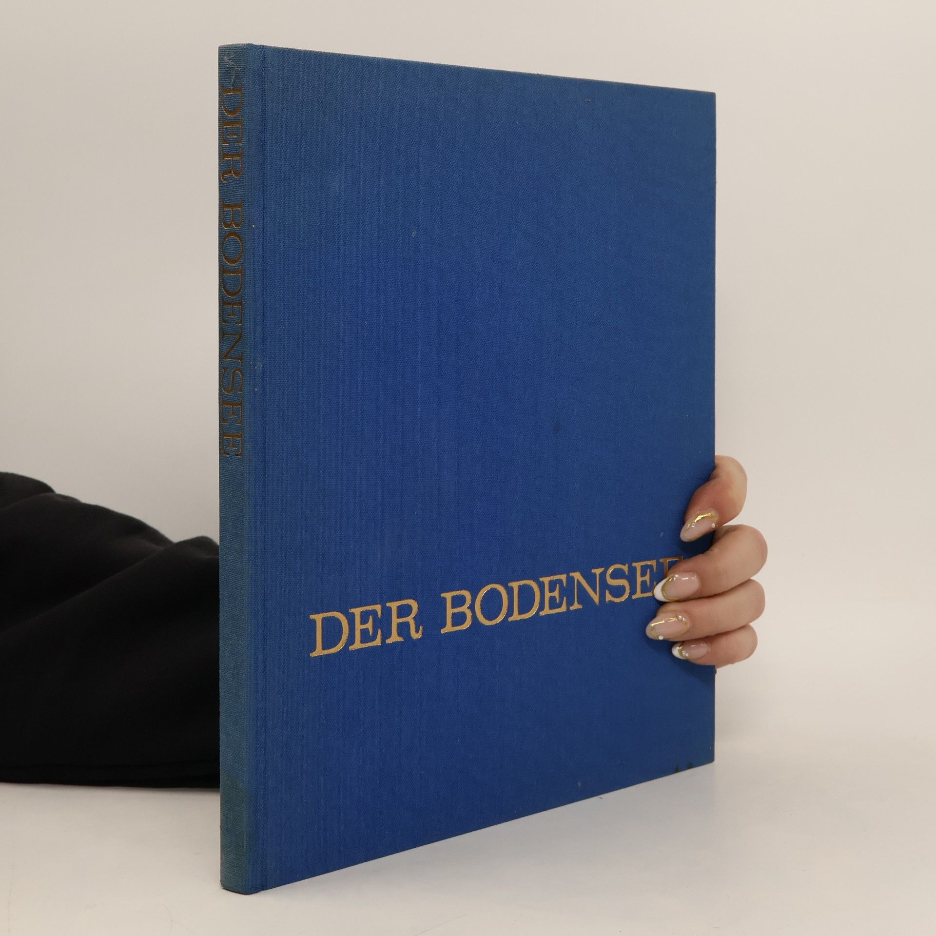 Autores varios Der Bodensee