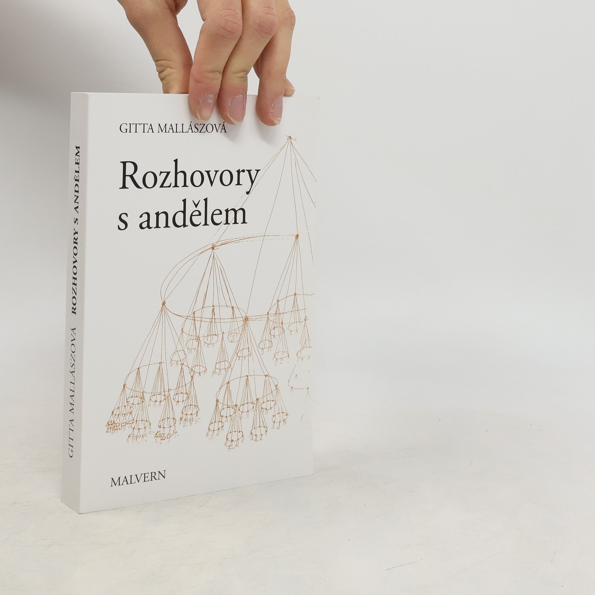 Rozhovory s andělem