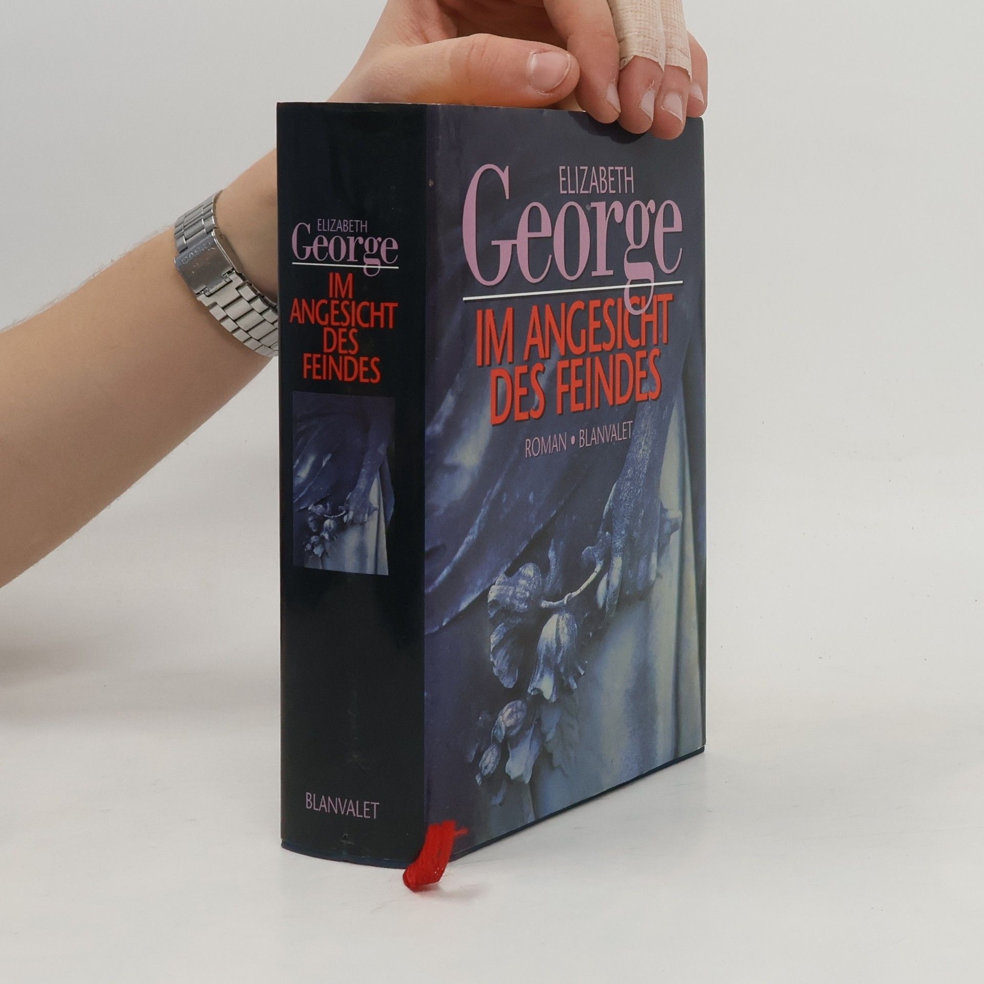 Im Angesicht des Feindes