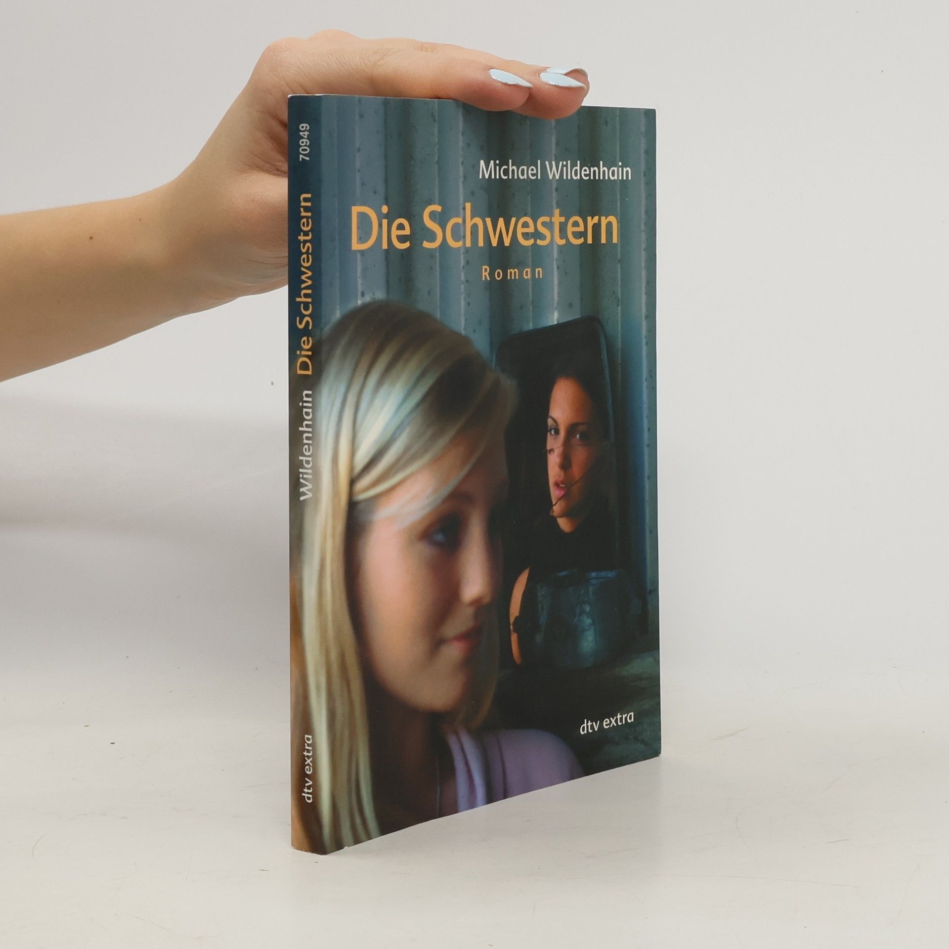 Michael Wildenhain Die Schwestern