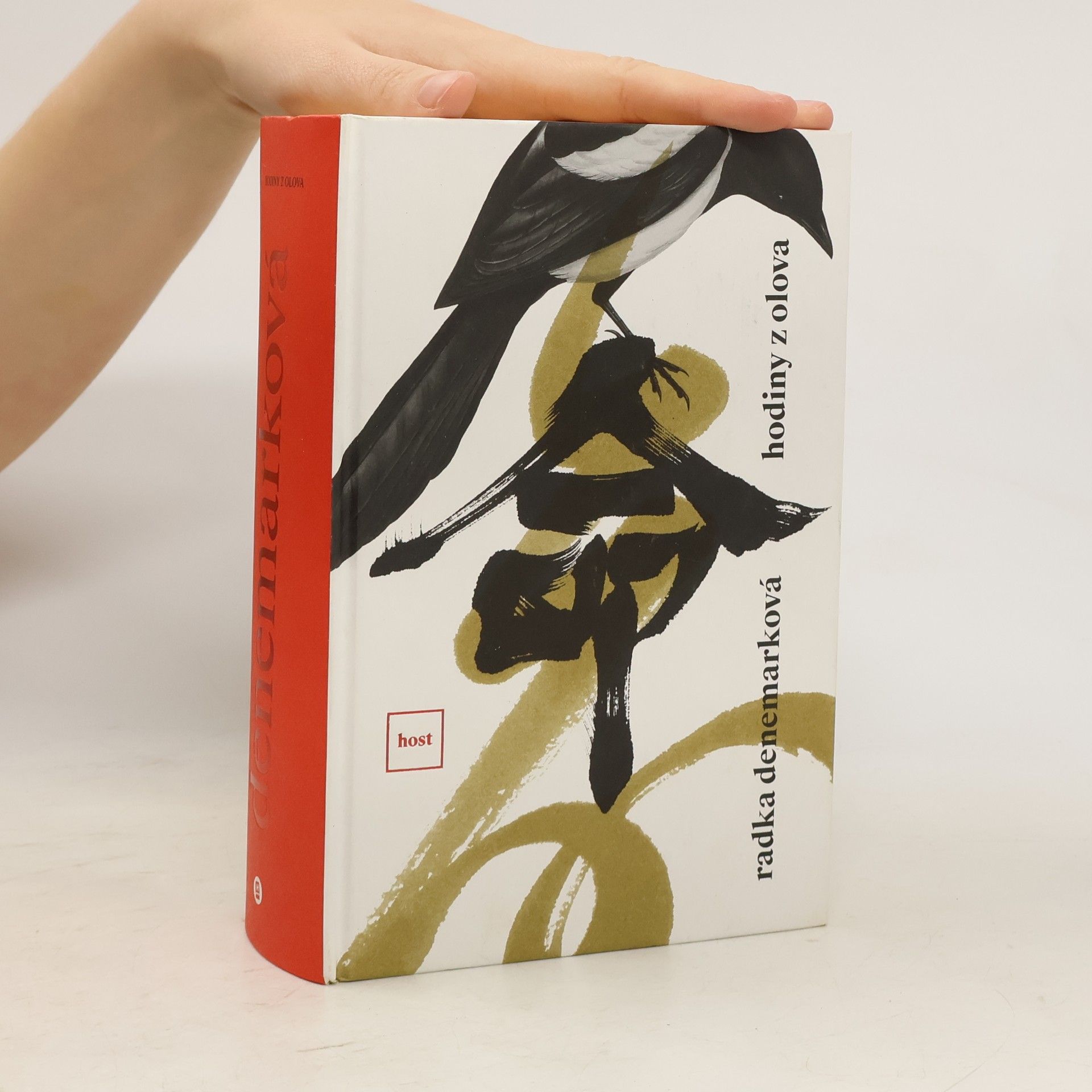 Radka Denemarková Hodiny z olova